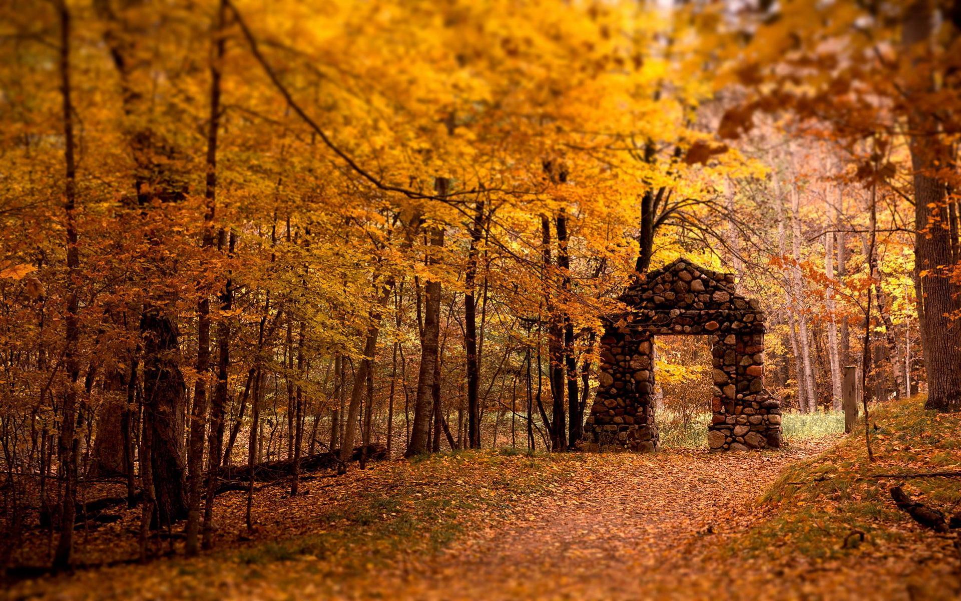 Времена года Осень - Природа