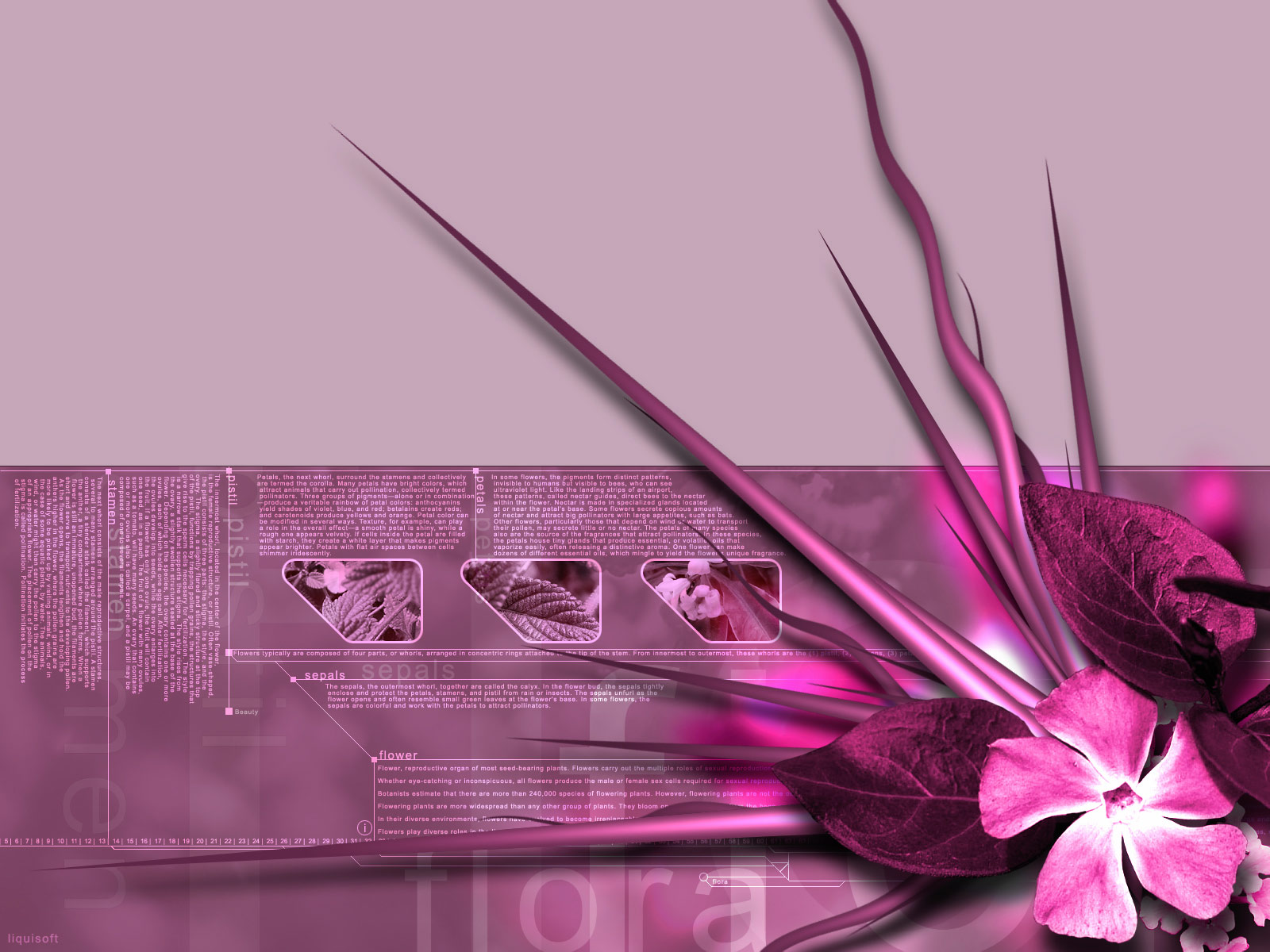 графика 3d абстракция розовая бесплатно