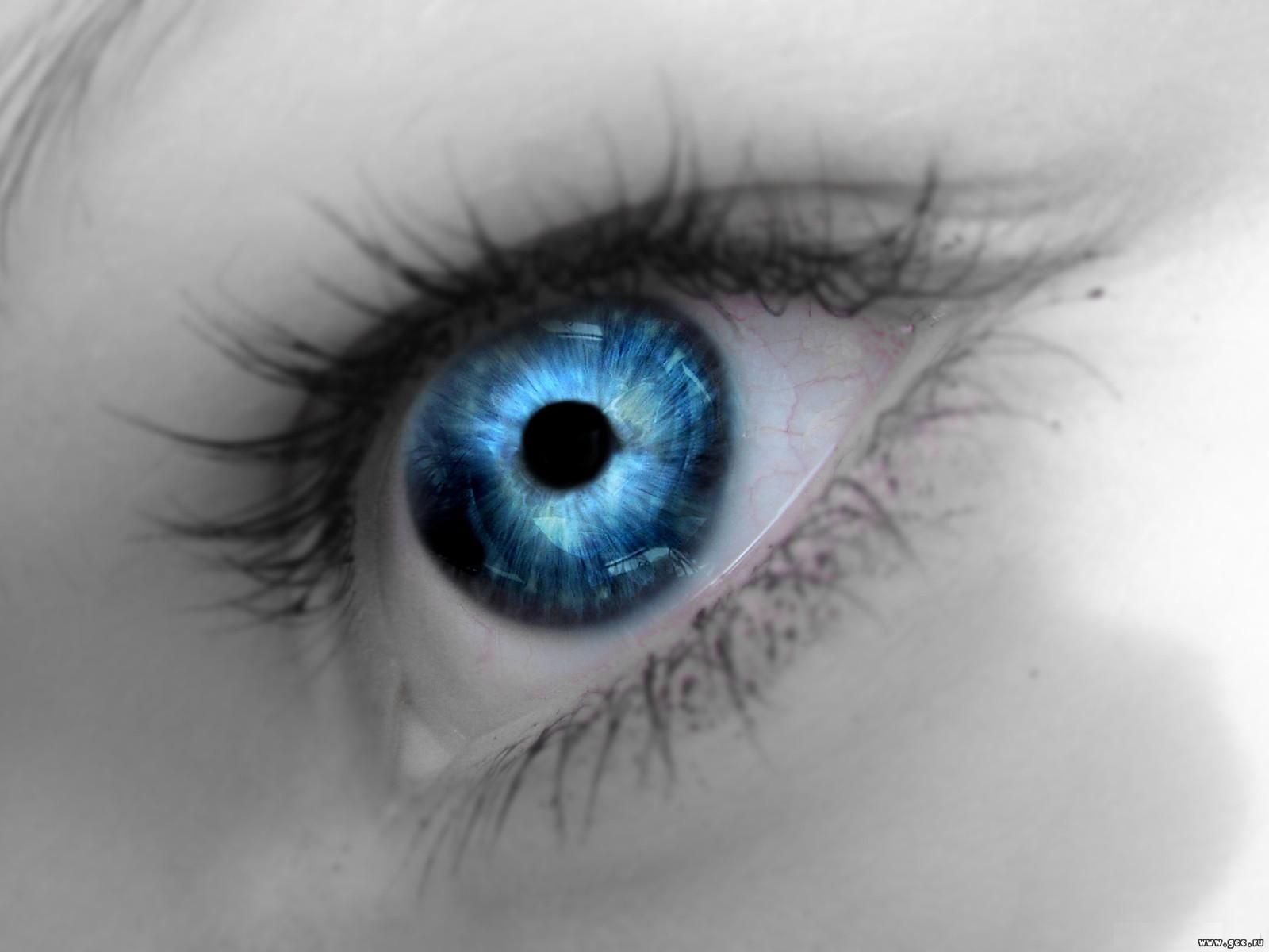 Напиши какого цвета глаза у твоих близких. Синие глаза. Синий цвет глаз. Красивые глаза. Прозрачные голубые глаза.