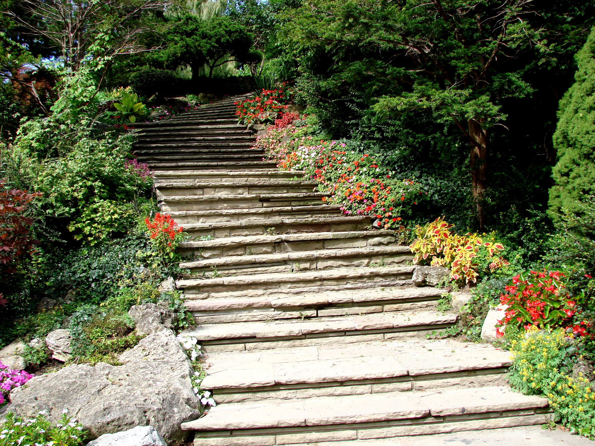 Дача ступеньками. Лестница парк Торонто. Каменная лестница Таганрог. Лестница вверх. Красивые лестницы.