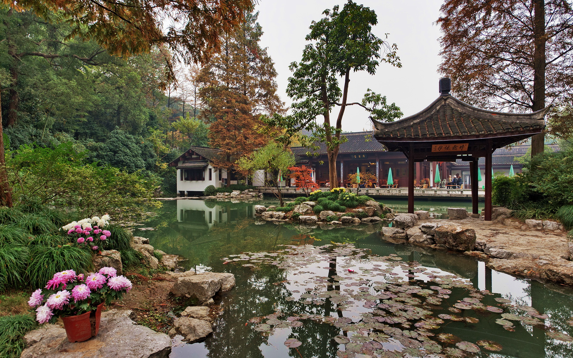 китайский сад фото