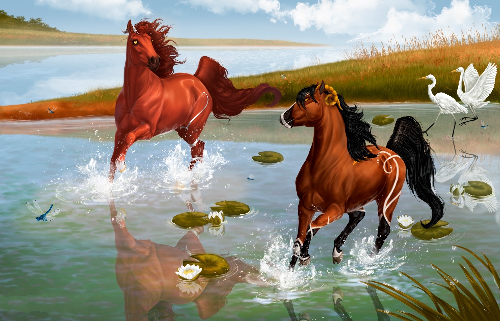 Лошадку навести навести. Лошади. Сказочный конь. Картина лошади. Картинки лошадей.