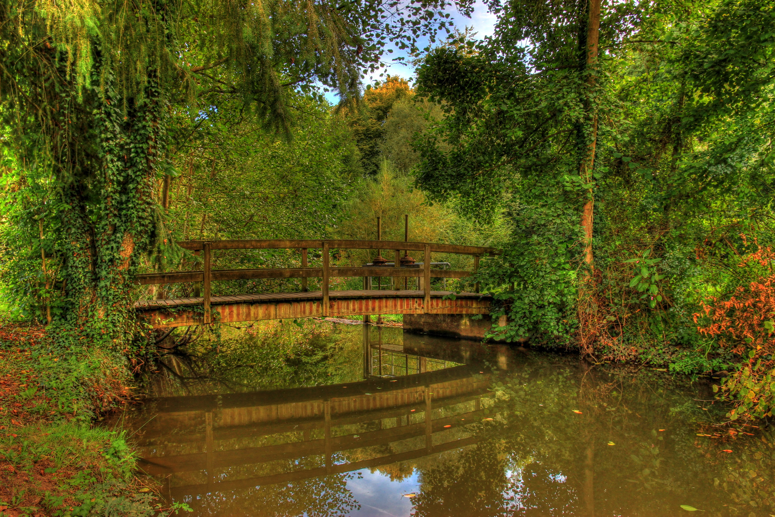 деревянный мост над речкой скачать