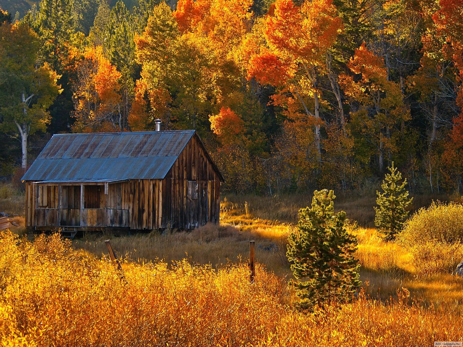 Осенние пейзажи осени. Осенняя природа. Пейзаж осени. Осень в деревне. Осенний деревенский пейзаж.