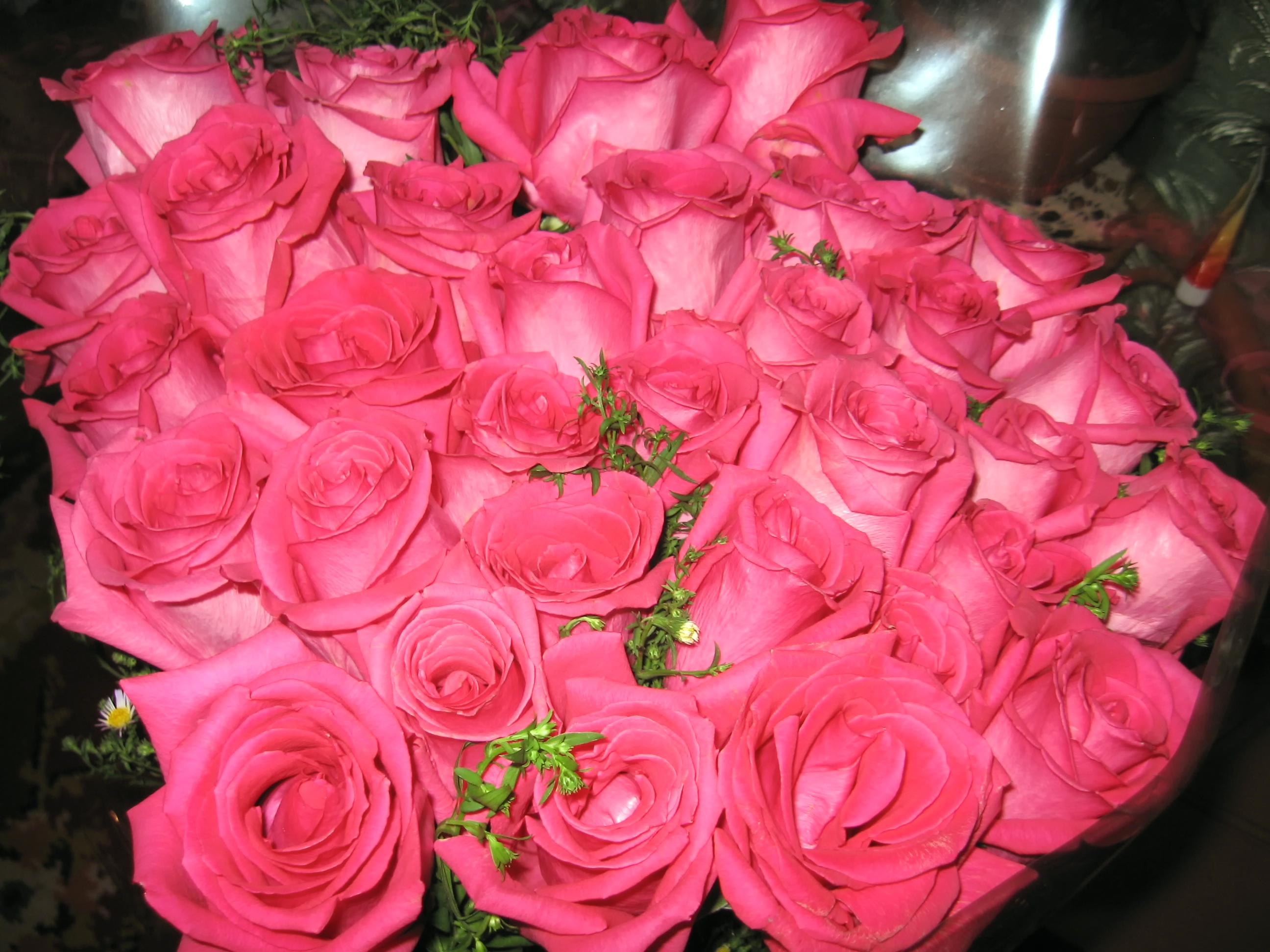 Сделать 2 фото розы. Красивый букет роз. Шикарный букет роз. Огромный букет. Букет роз огромный.