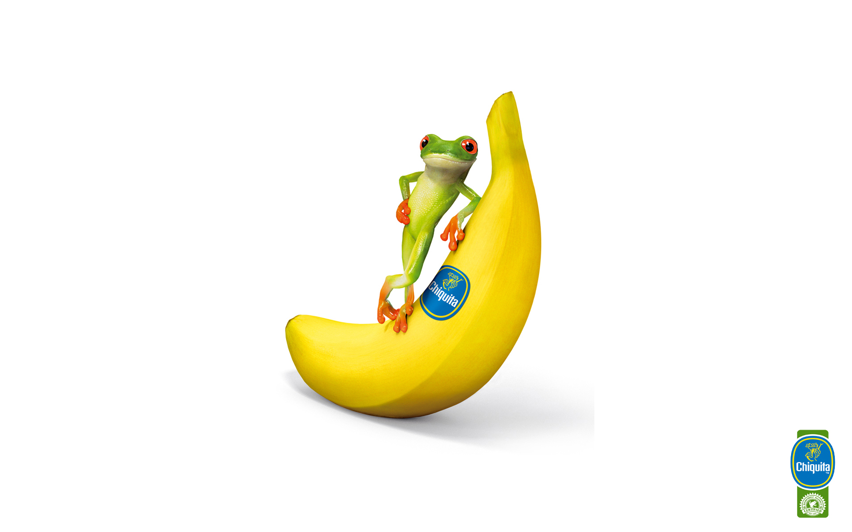 Лягушка на банане без смс