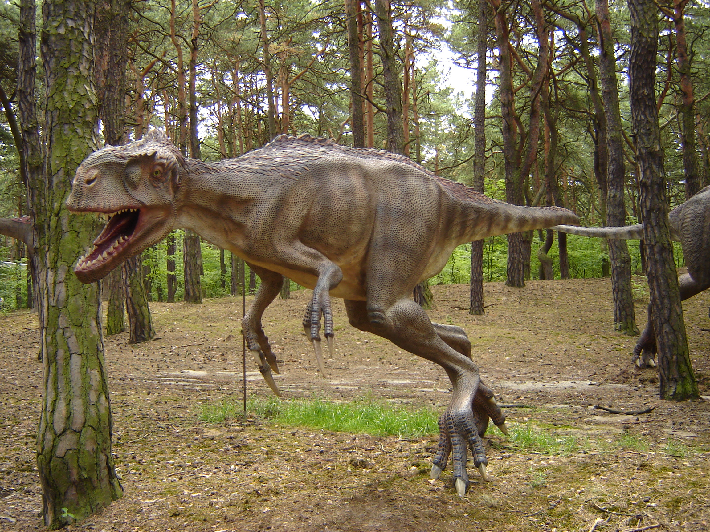 Название древнего животного. Эотиранн динозавр. Динозавры настоящие. Древние животные. Живые динозавры.