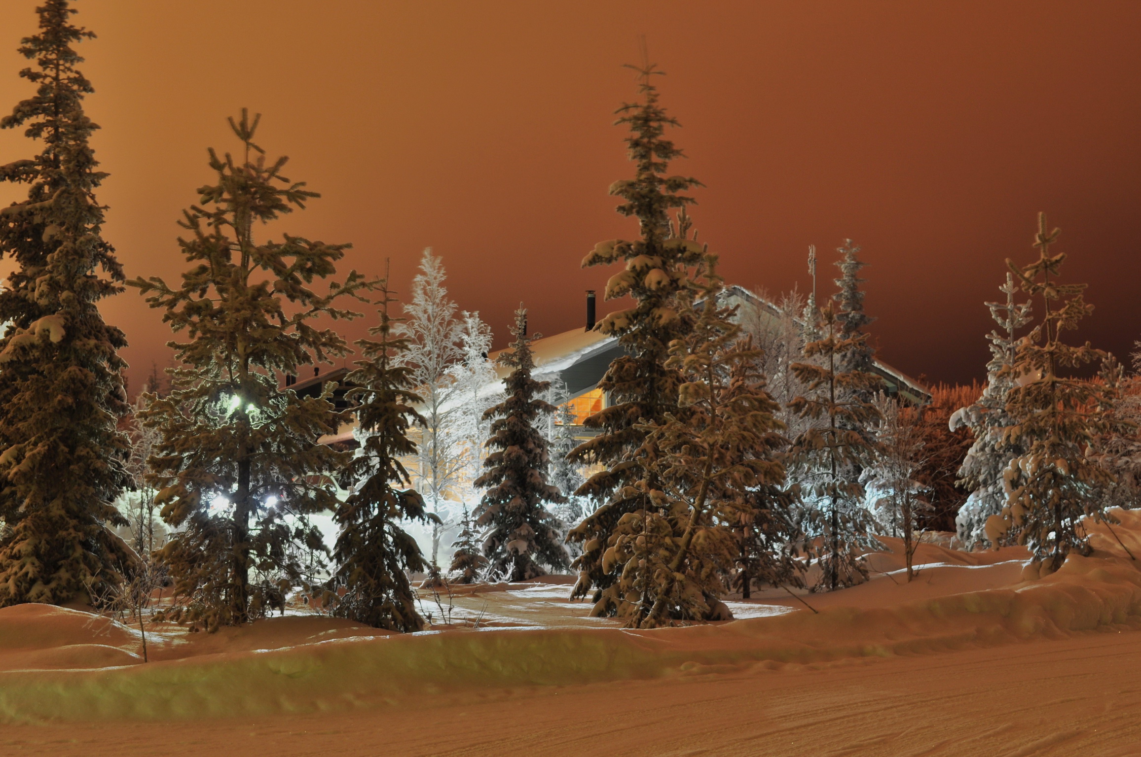 природа дом зимой снег ночь деревья бесплатно