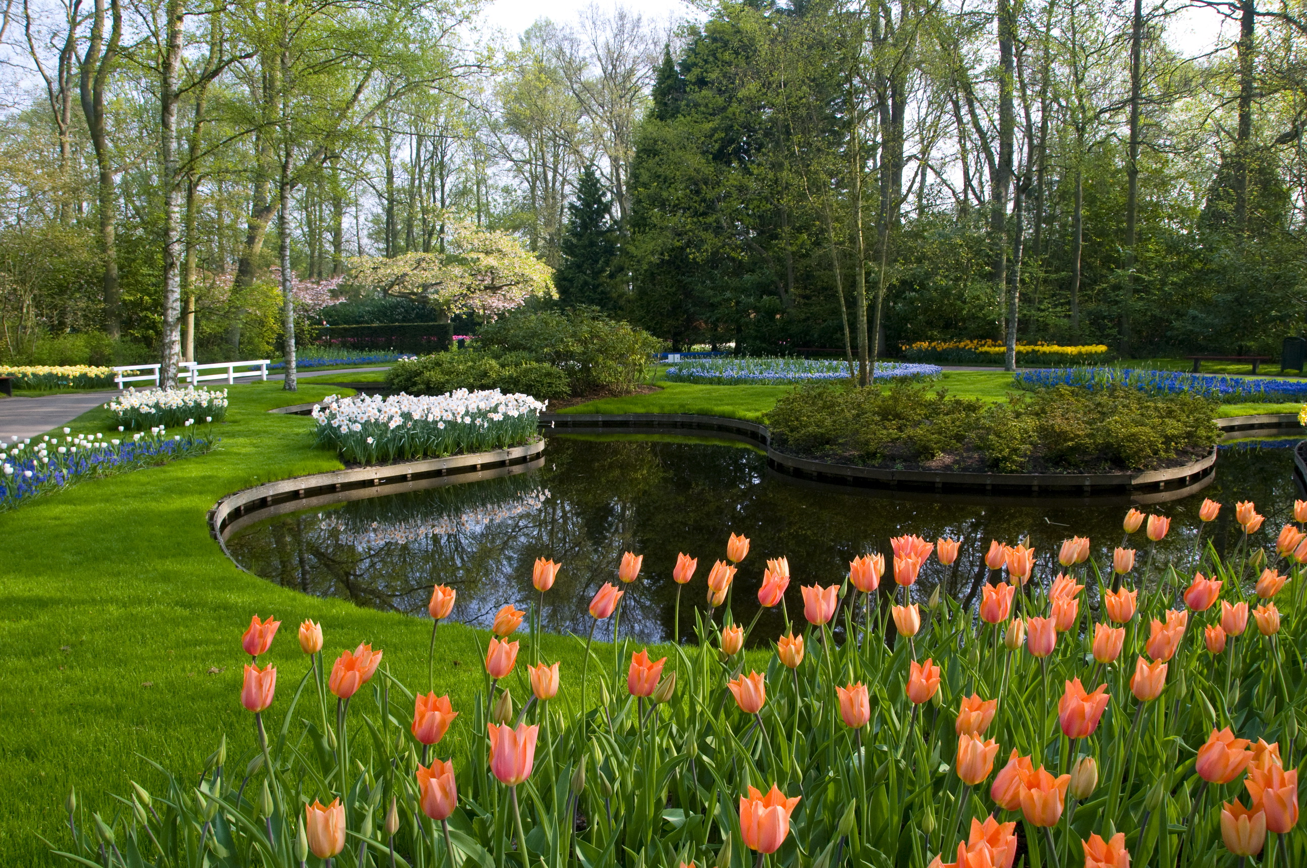 Keukenhof Gardens, Lisse, The Netherlands без смс