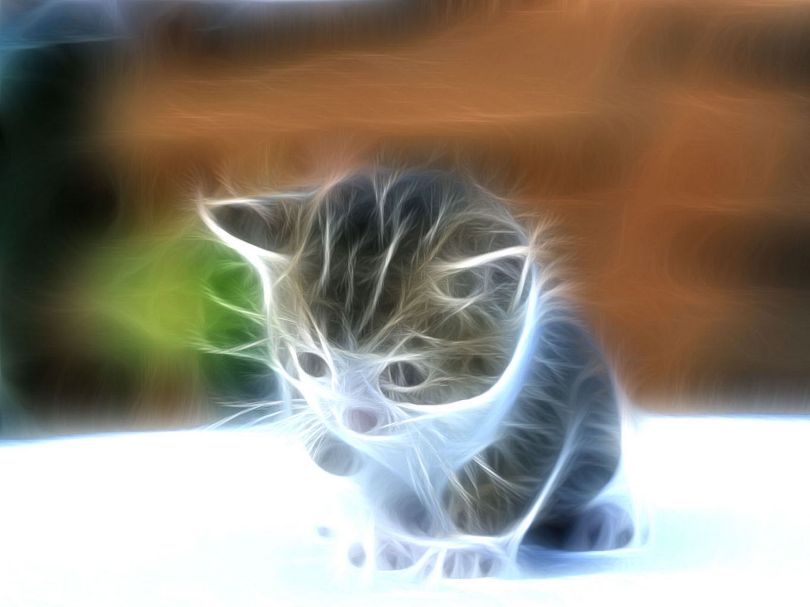 животные кот графика animals cat graphics без смс