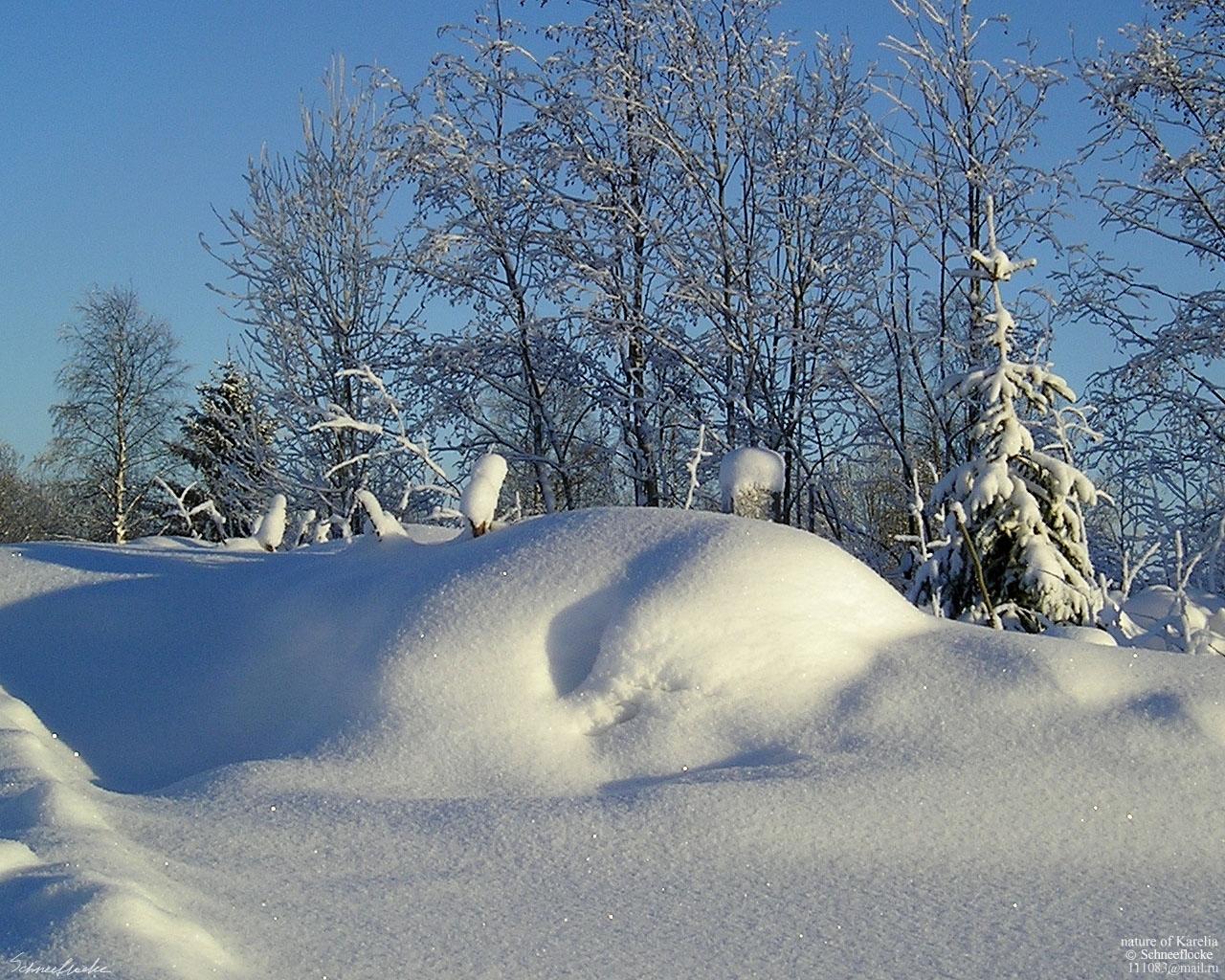 Снежные сугробы покрылись. Снежные сугробы. Зима сугробы. Зима много снега. Красивые сугробы.