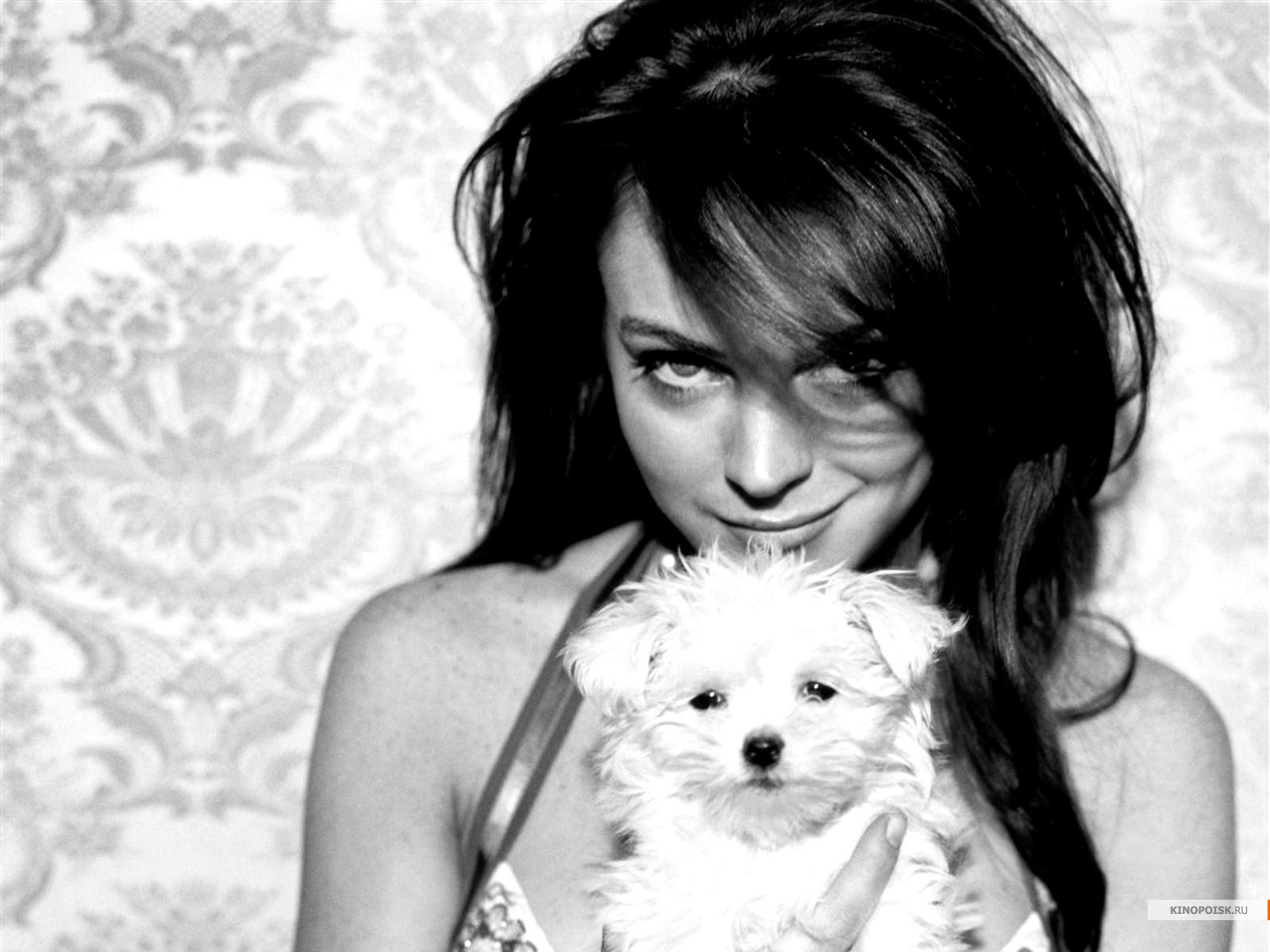 Обои, картинки Lindsay Lohan (Линдси Лохан) - Знаменитости 122783