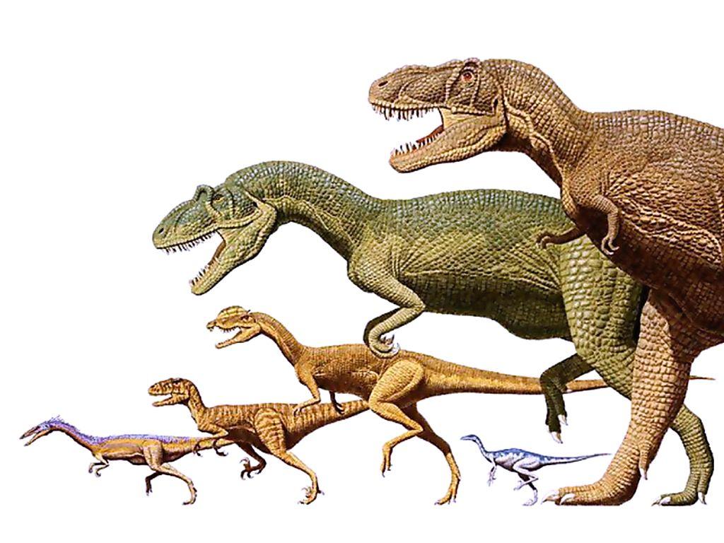 Развитие динозавров. Динозавры. Сухопутные динозавры. Динозавры картинки. Эволюция динозавров.