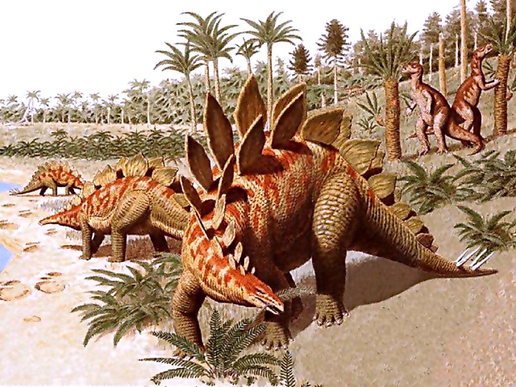 Древние времена динозавров. Стегозавр Эра. Древние животные. Древние динозавры. Динозавры картинки.