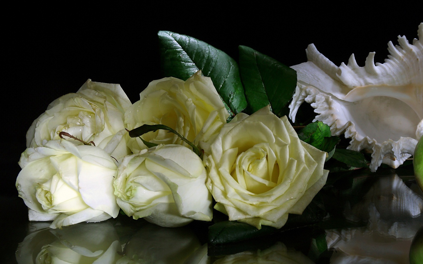 Бел розы для моей черной сестры. Белые розы. Красивые белые розы. Открытки с белыми розами. Белые розы в природе.