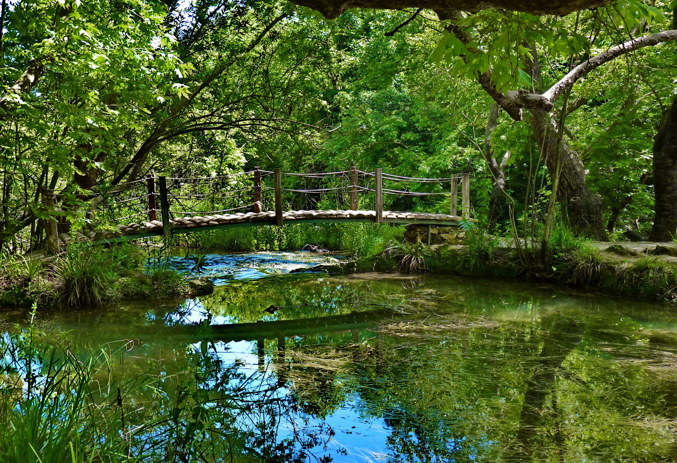 мостик лес зелень the bridge forest greens бесплатно