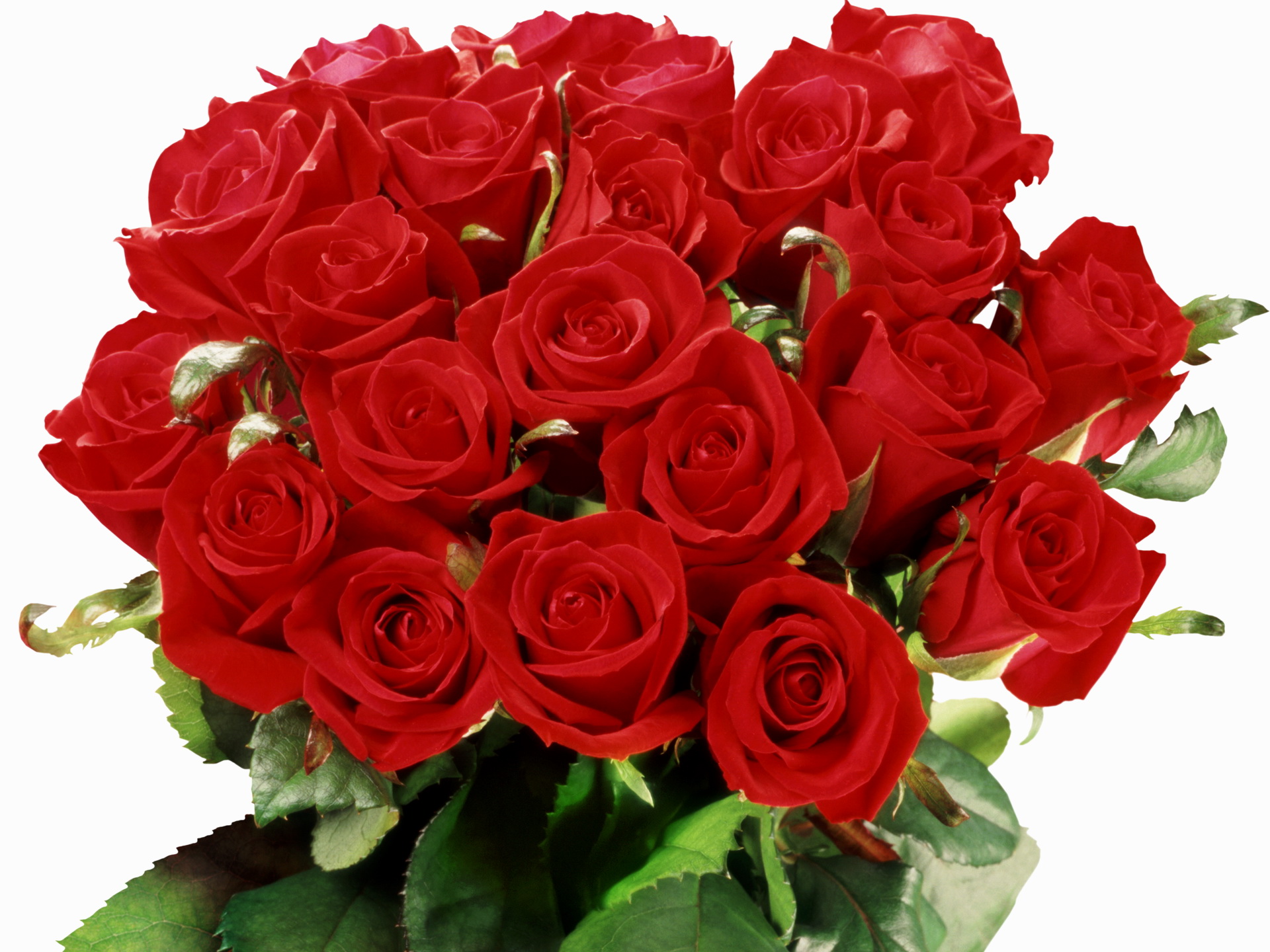 Бесплатные красивые открытки букеты цветов. Букет роз. Шикарные цветы. Шикарный букет роз.