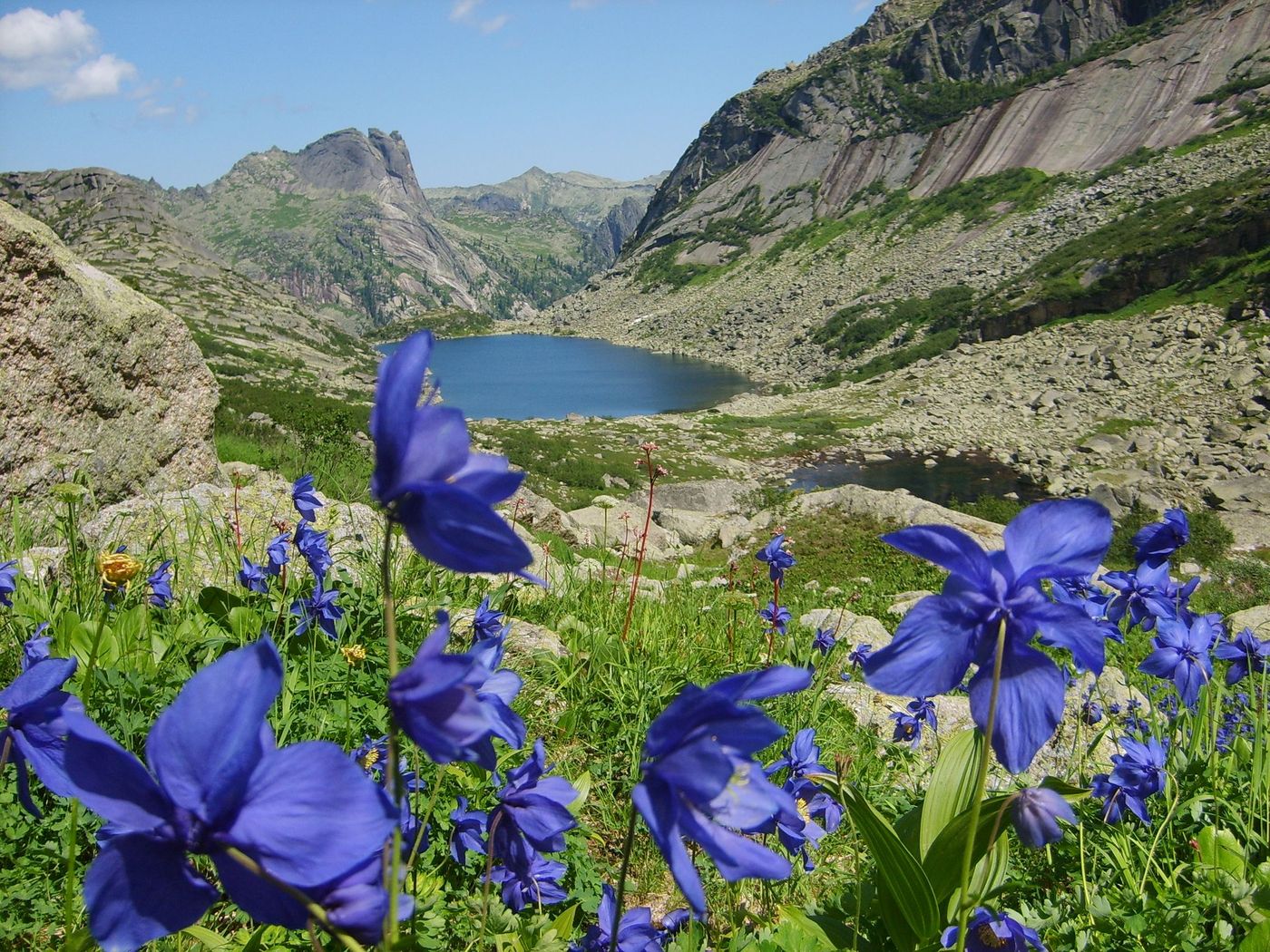 горная речка горы цветы скачать