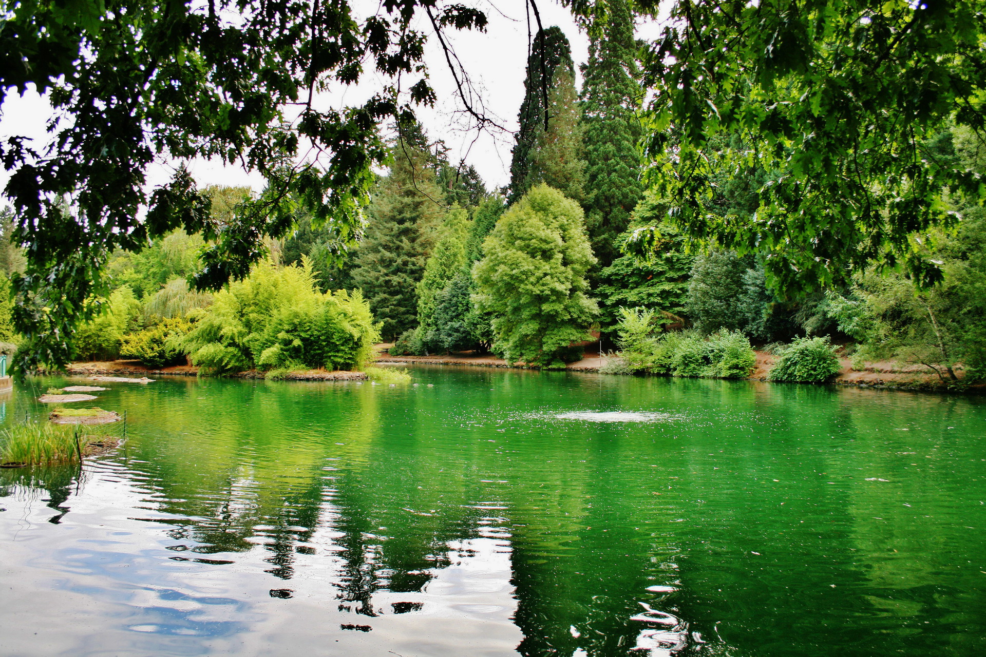 весна озеро зелень скачать