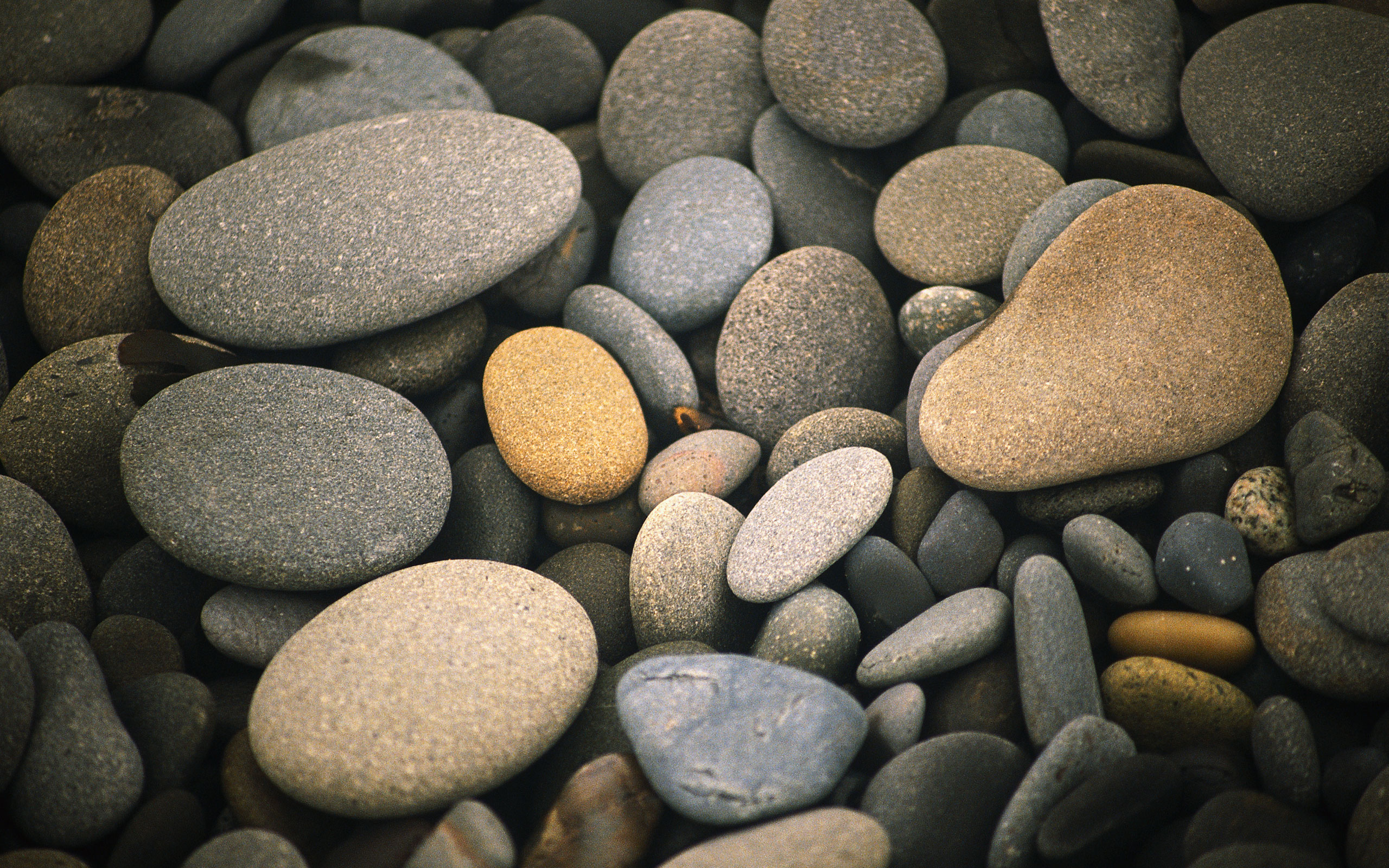 Обои на стол разные. Красивые камушки. Галька Речная. Морские камни. Красивые морские камни.