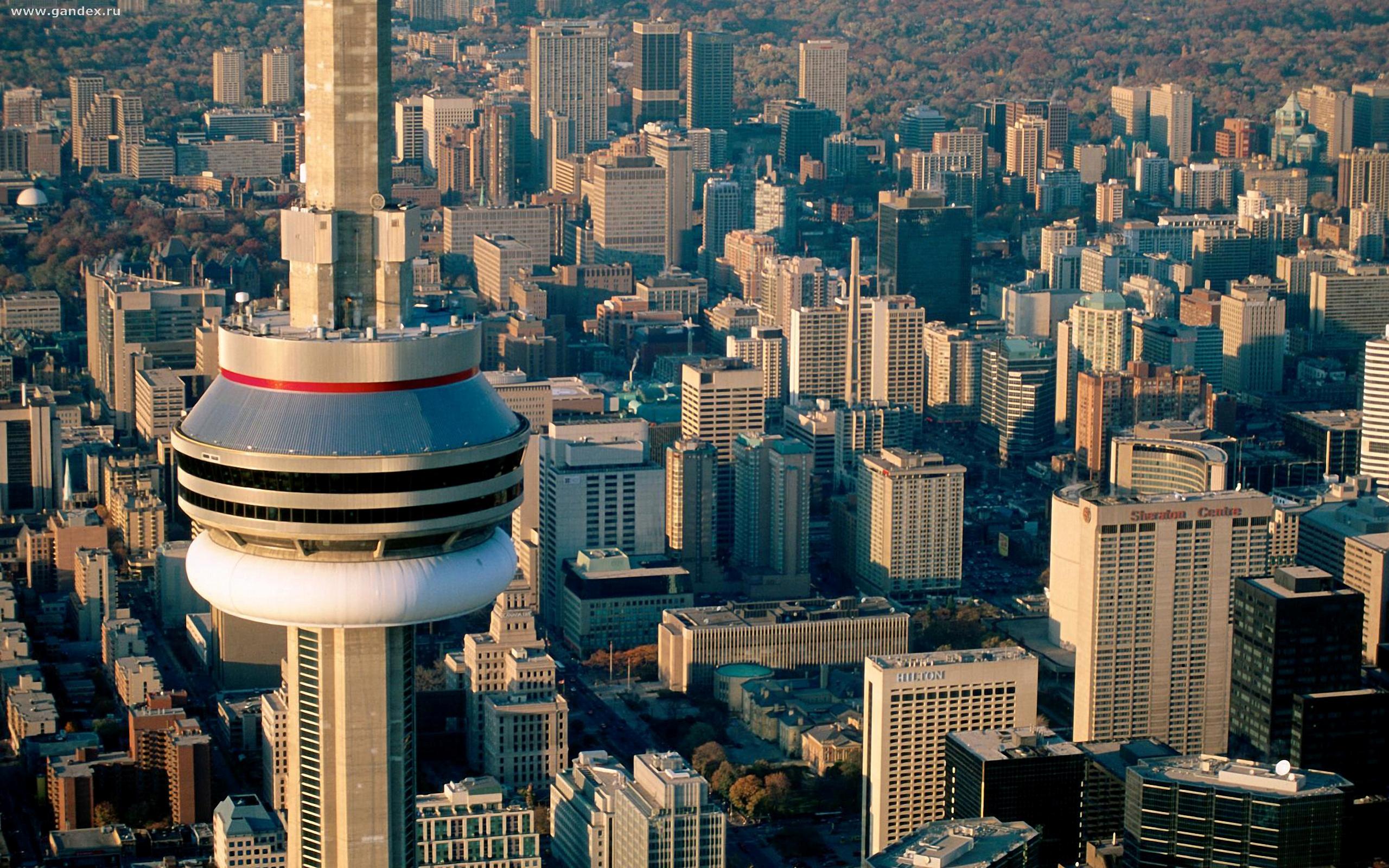 торонто небоскребы город канада скачать