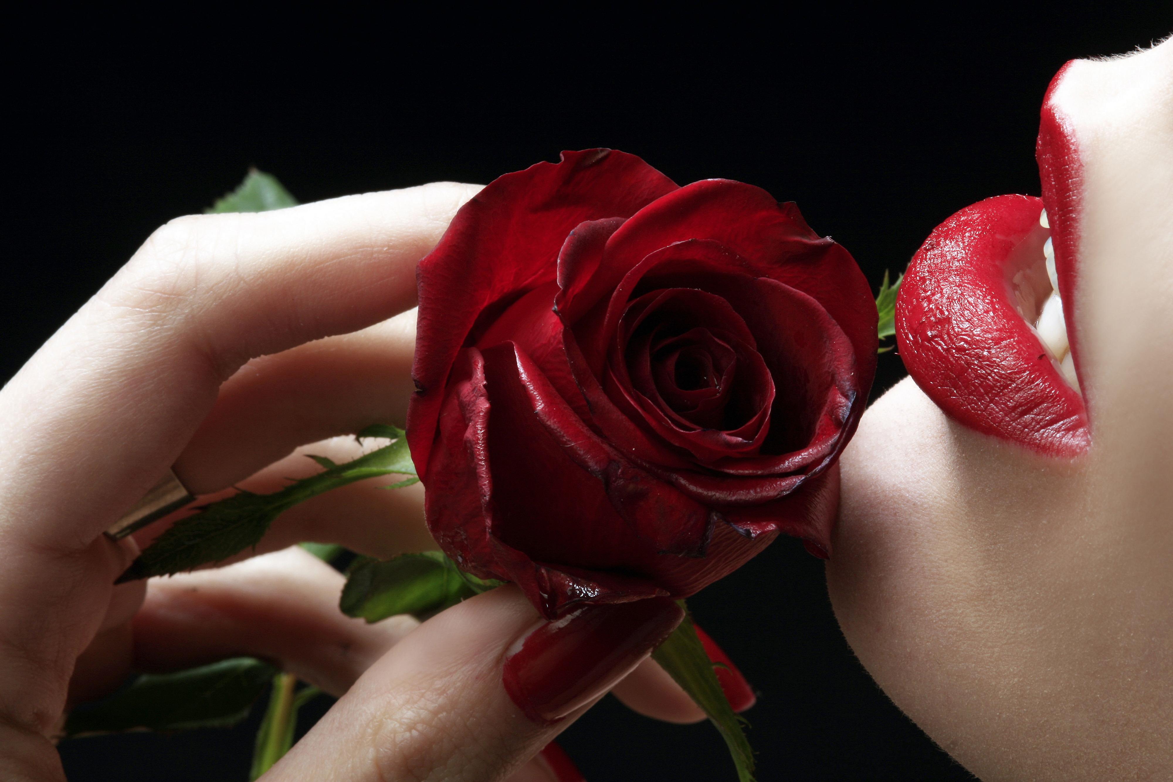 Половые розочки. Красные розы. Девушка с розой. Цветок женские губы.