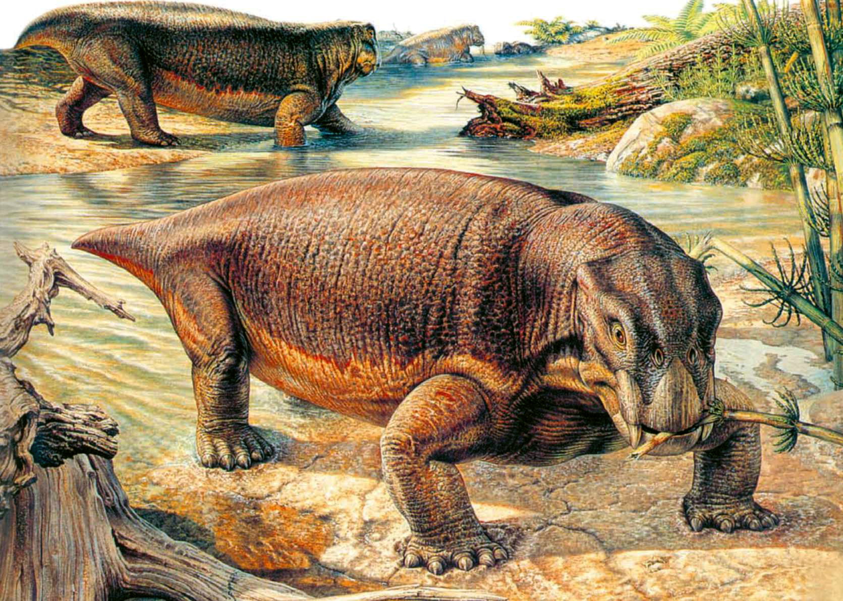 Звероподобные пресмыкающиеся. Листрозавр Триасового периода. Триасовый период мезозойской эры. Терапсиды мезозойской эры. Терапсиды Триасового периода.