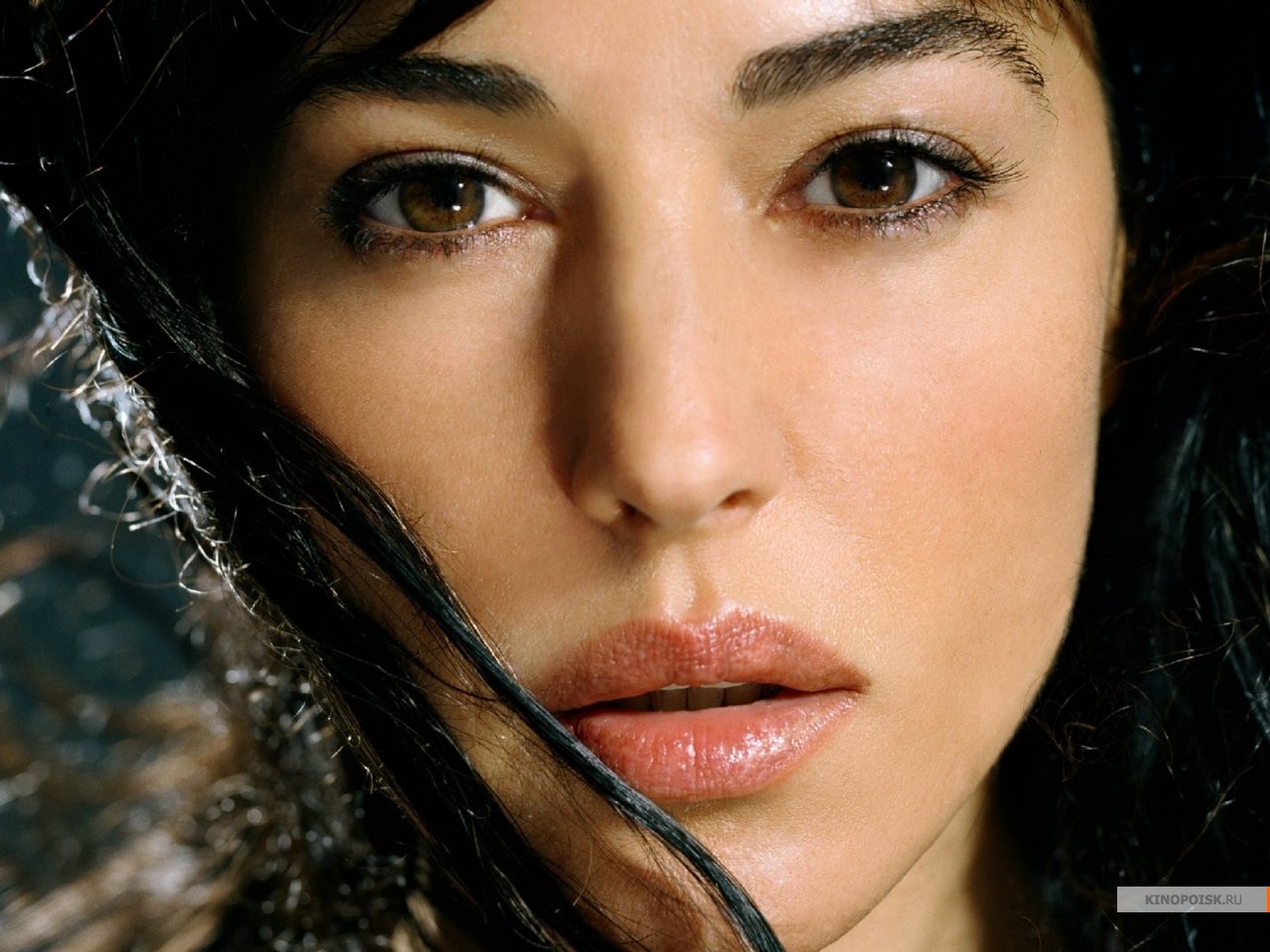 Девушки с веснушками на лице. Ионика бклуч. Красивые турчанки. Фото моники белуччи. Беллучи биография.