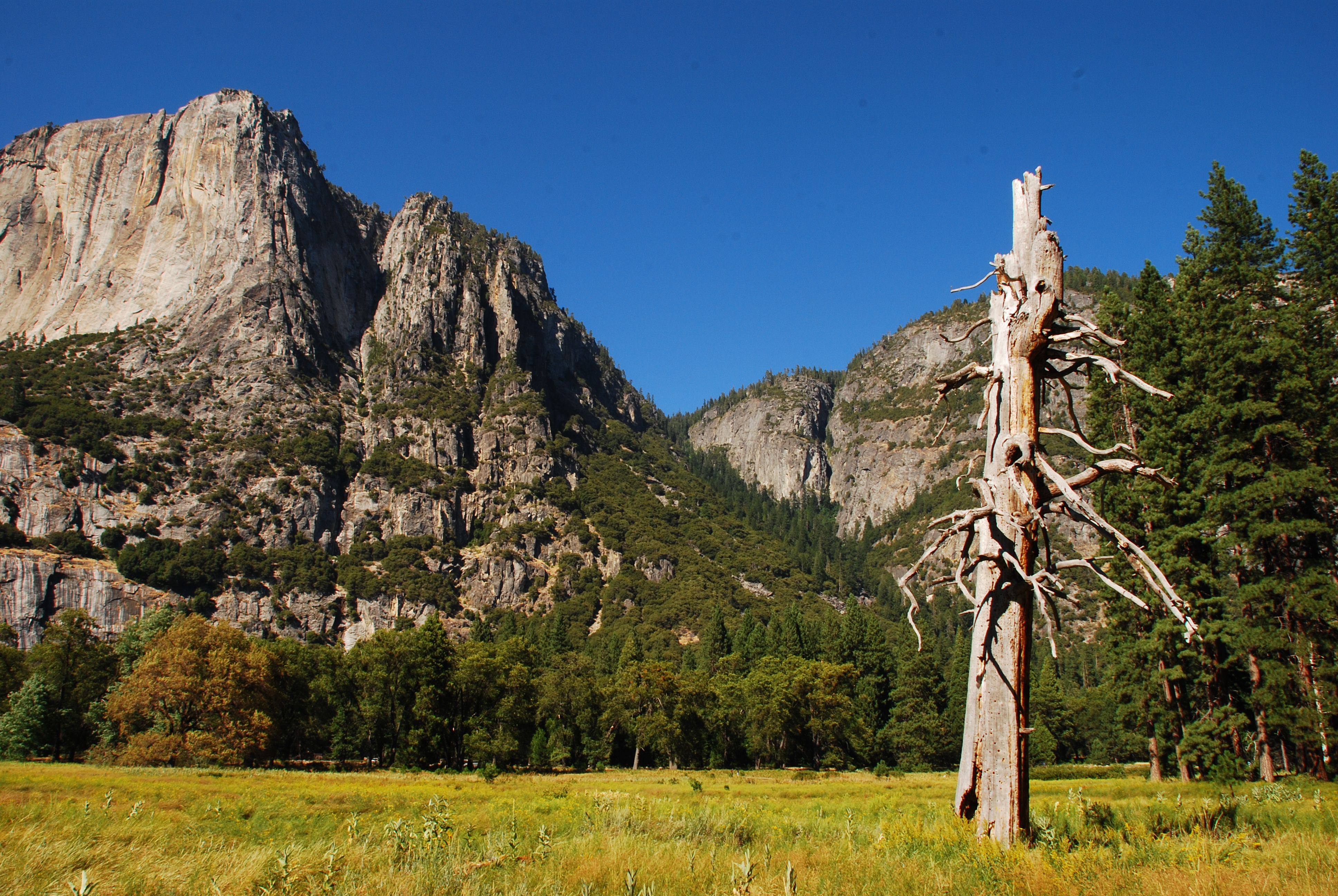 Национальный парк Yosemite бесплатно