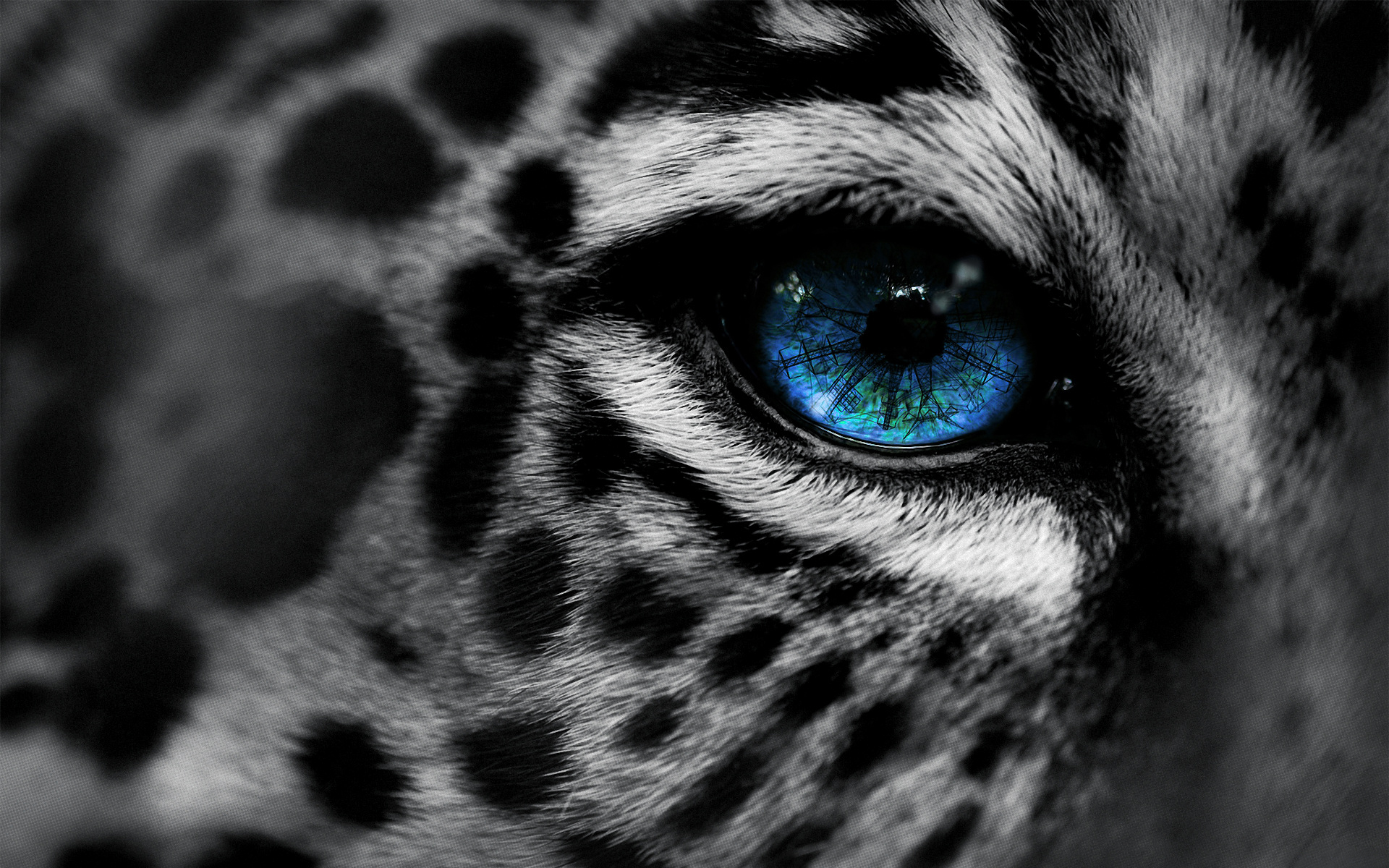 Глаз гепард белый загрузить