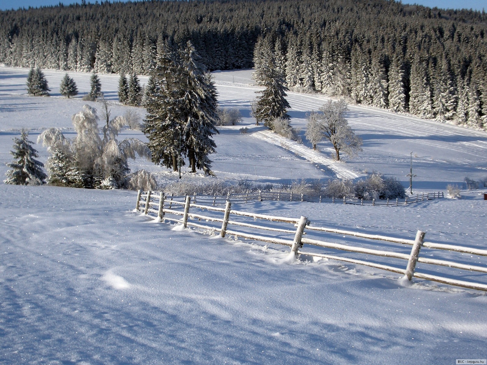 Где зима мягкая. Зима в 1600 году. Нечкино природа зимой. Зимняя природа Галкинское поселение. Время года зима.