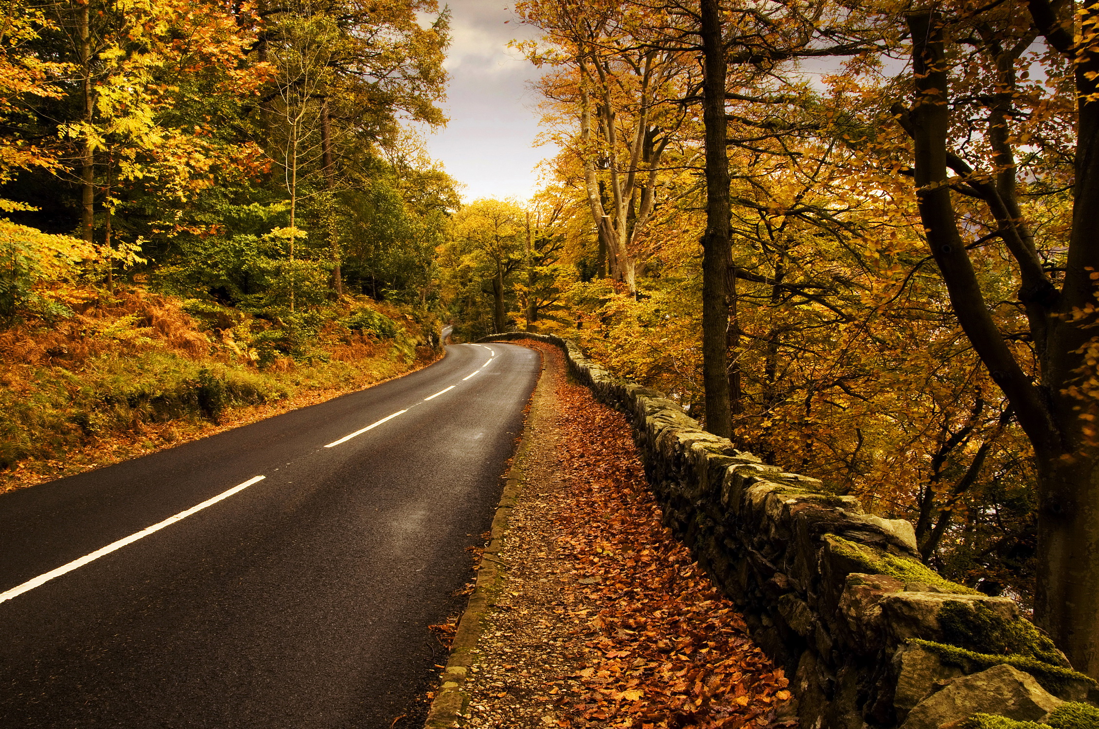 дорога, поворот, деревья, осень, листопад загрузить