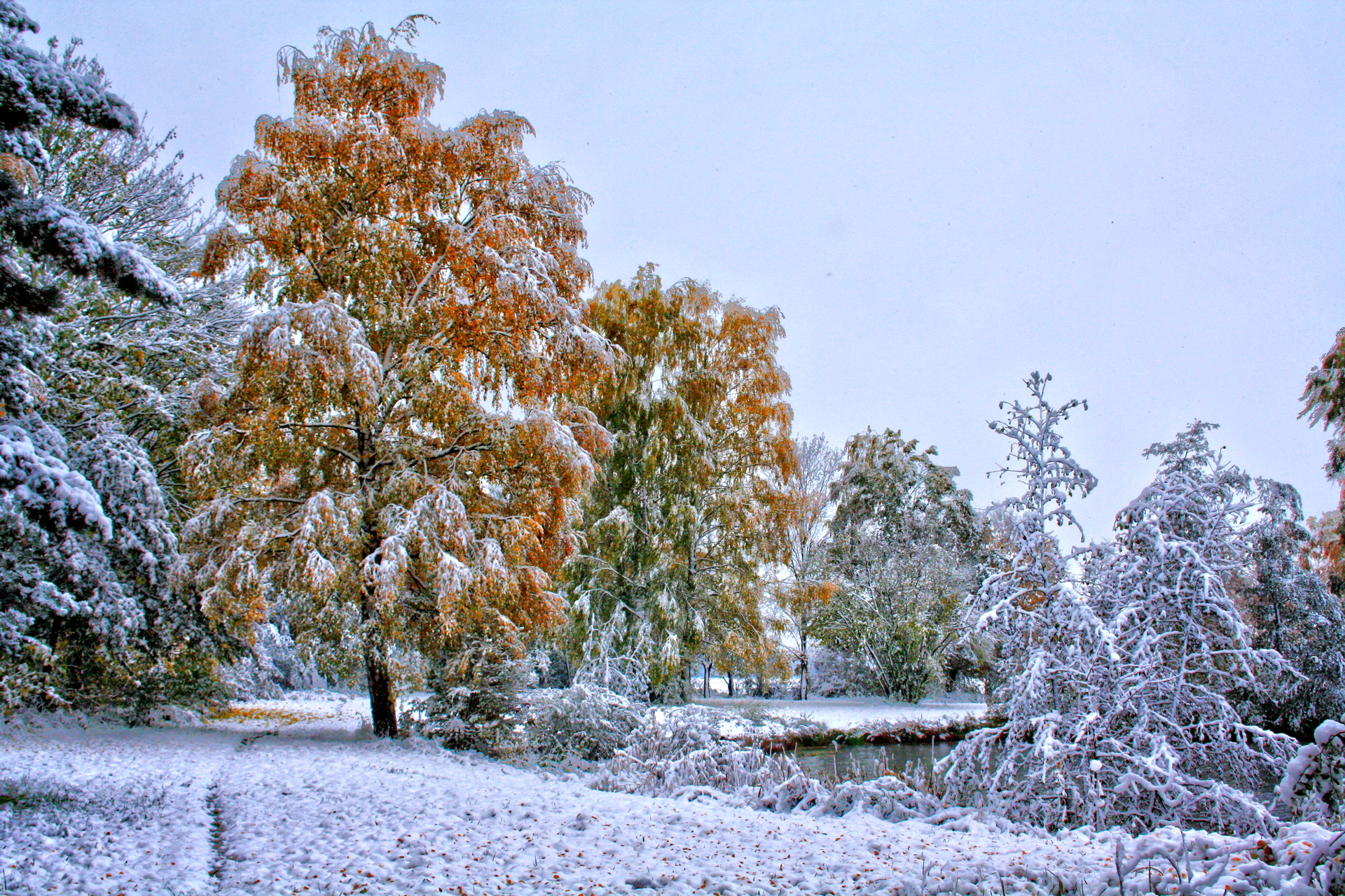 Самая поздняя зима. Осень первый снег. Снег осенью. С началом зимы. Снежная осень.