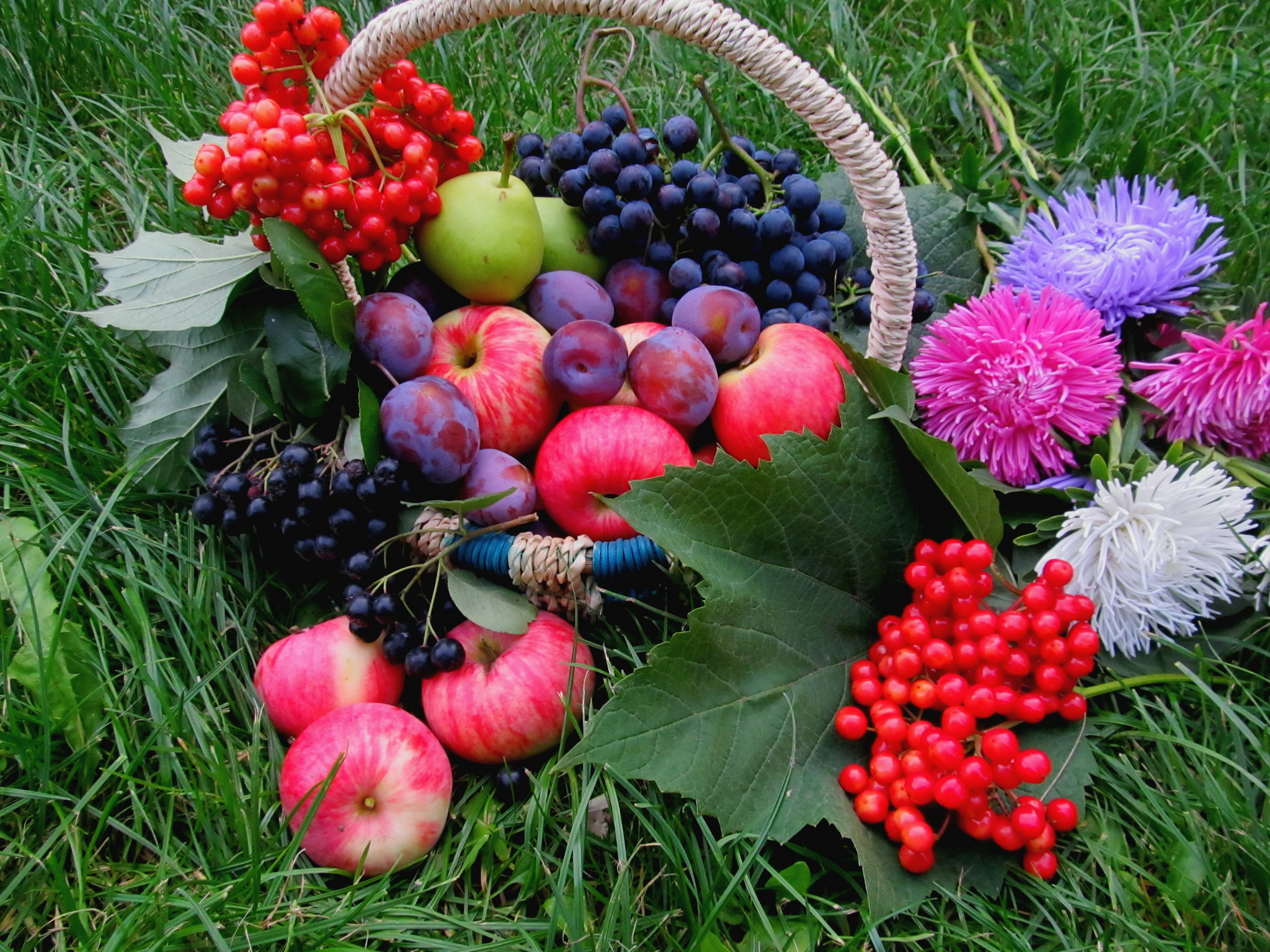 натюрморт, цветы, виноград, фрукты бесплатно