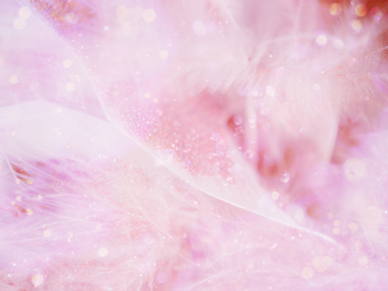 Красивая белая розовый фон. Нежный фон. Красивый нежный фон. Нежно розовый. Нежно розовый фон