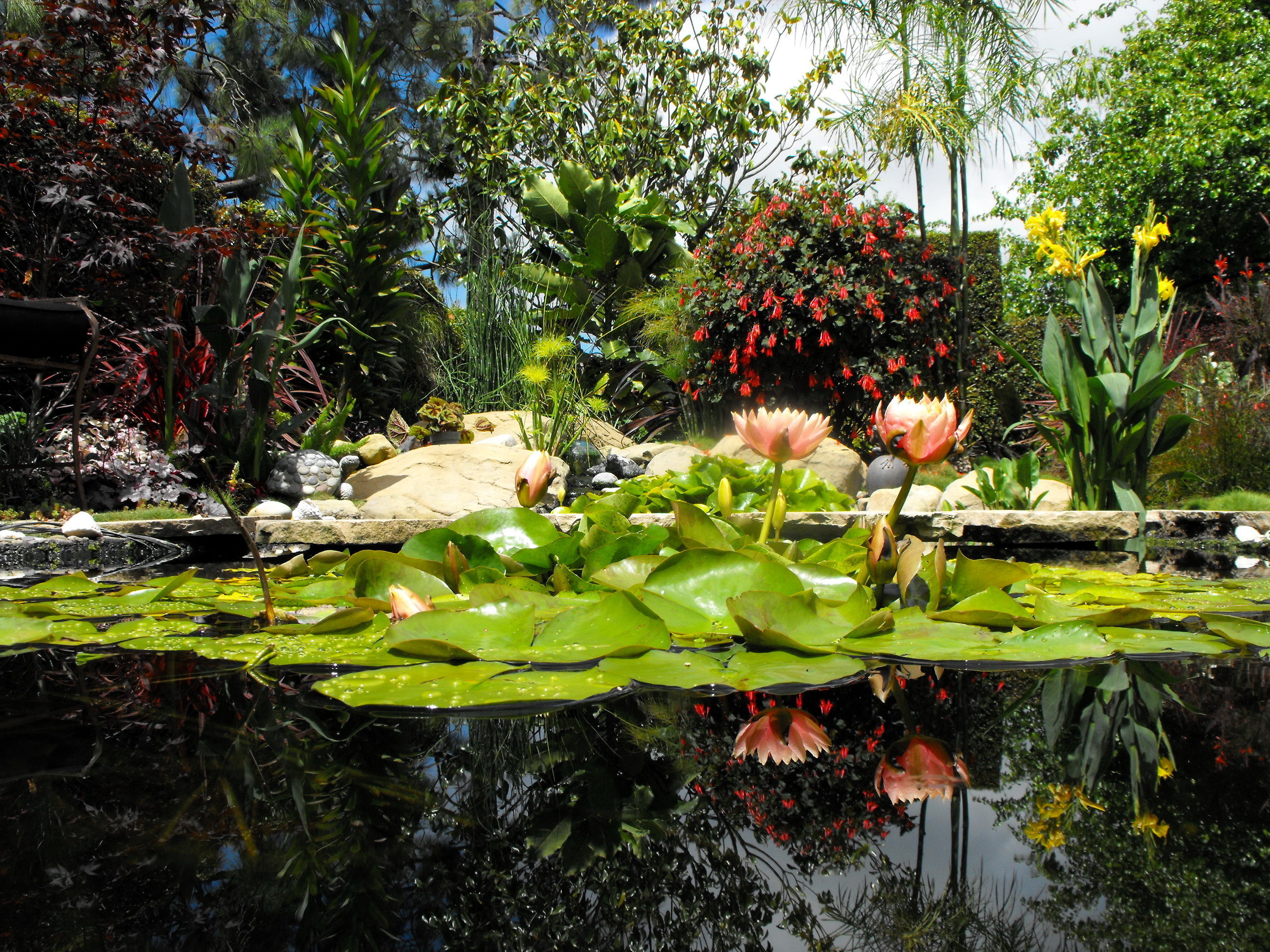 Декоративное озеро в саду скачать