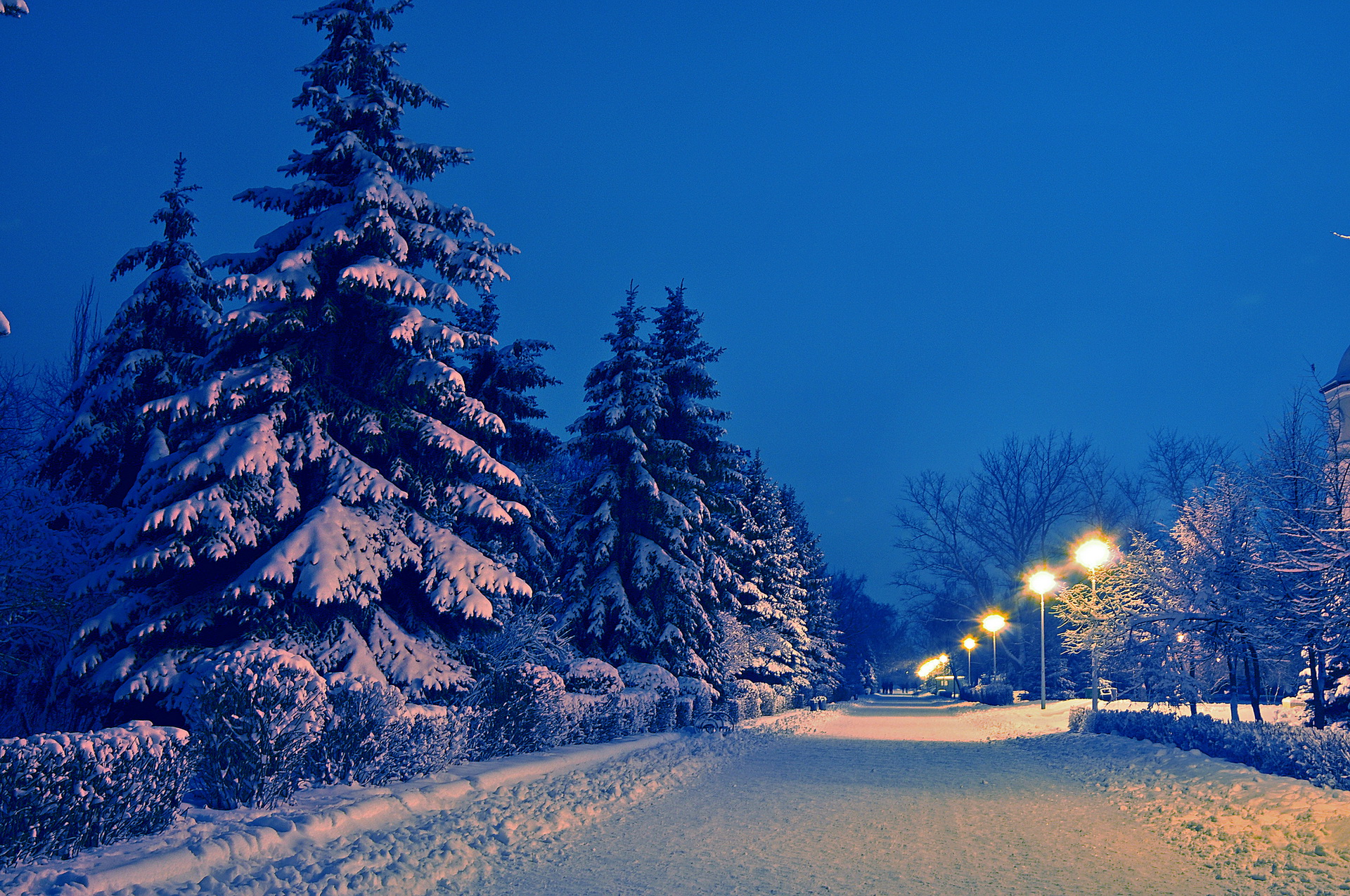 дорога зима вечер road winter evening без смс