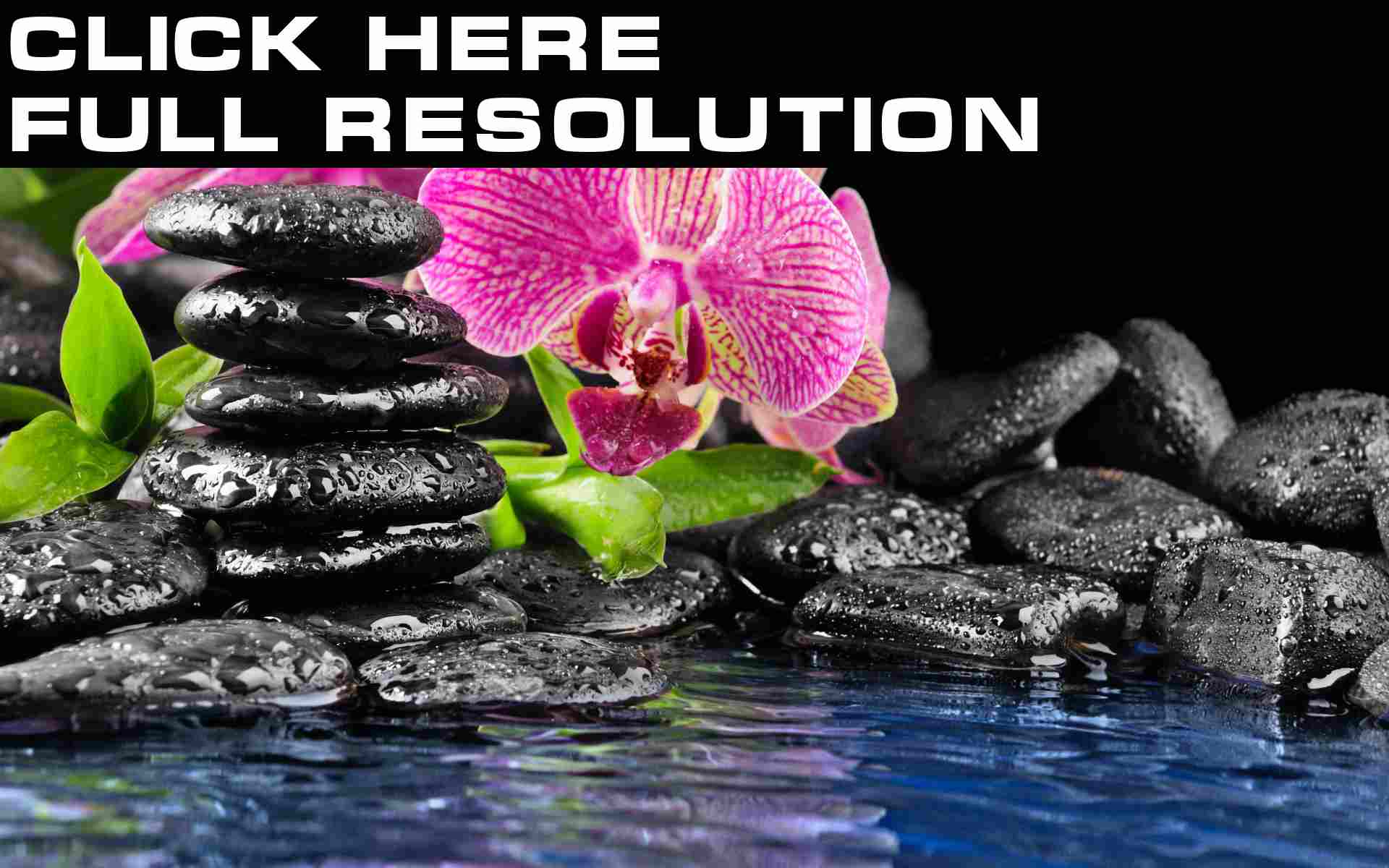 Орхидея камни вода растительность скачать