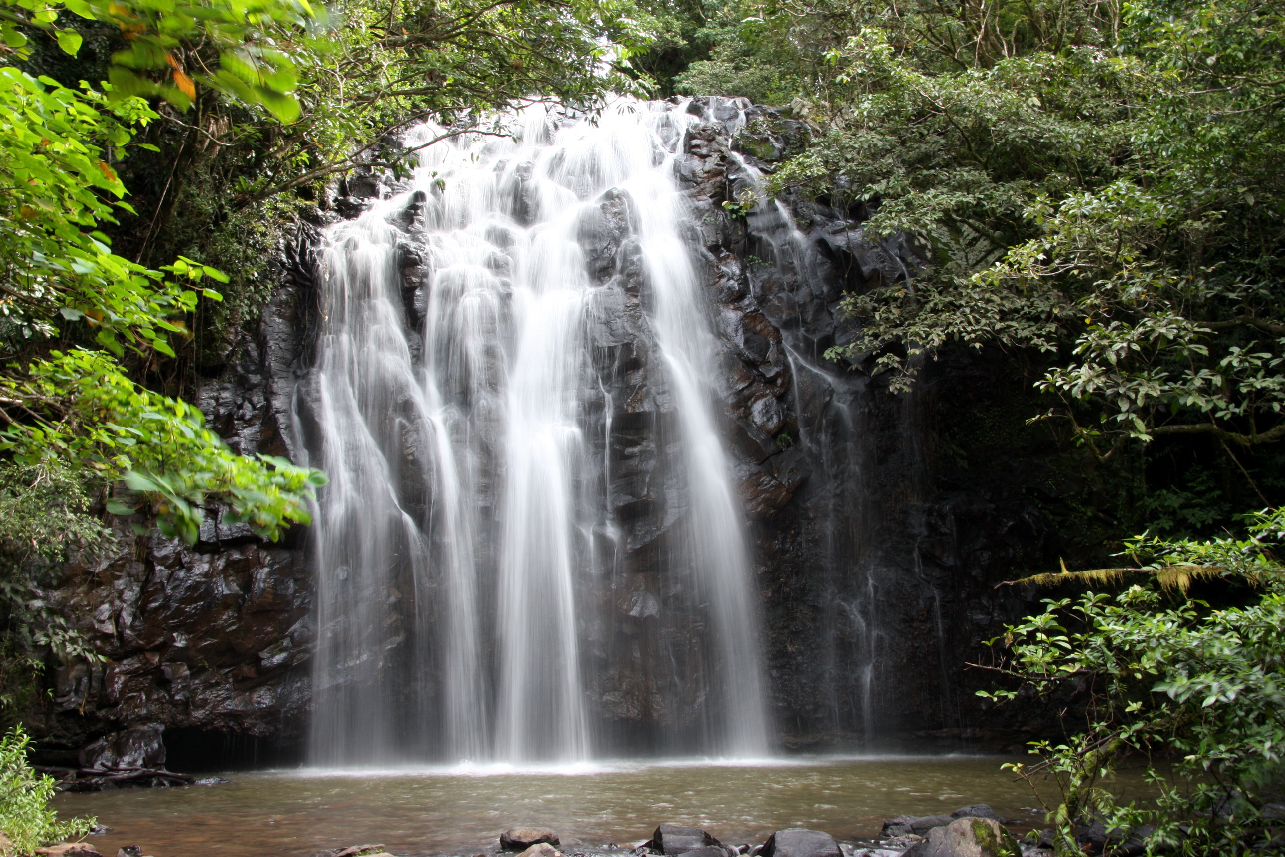 Hopetoun Falls, Otway Ranges, Victoria, Australia бесплатно
