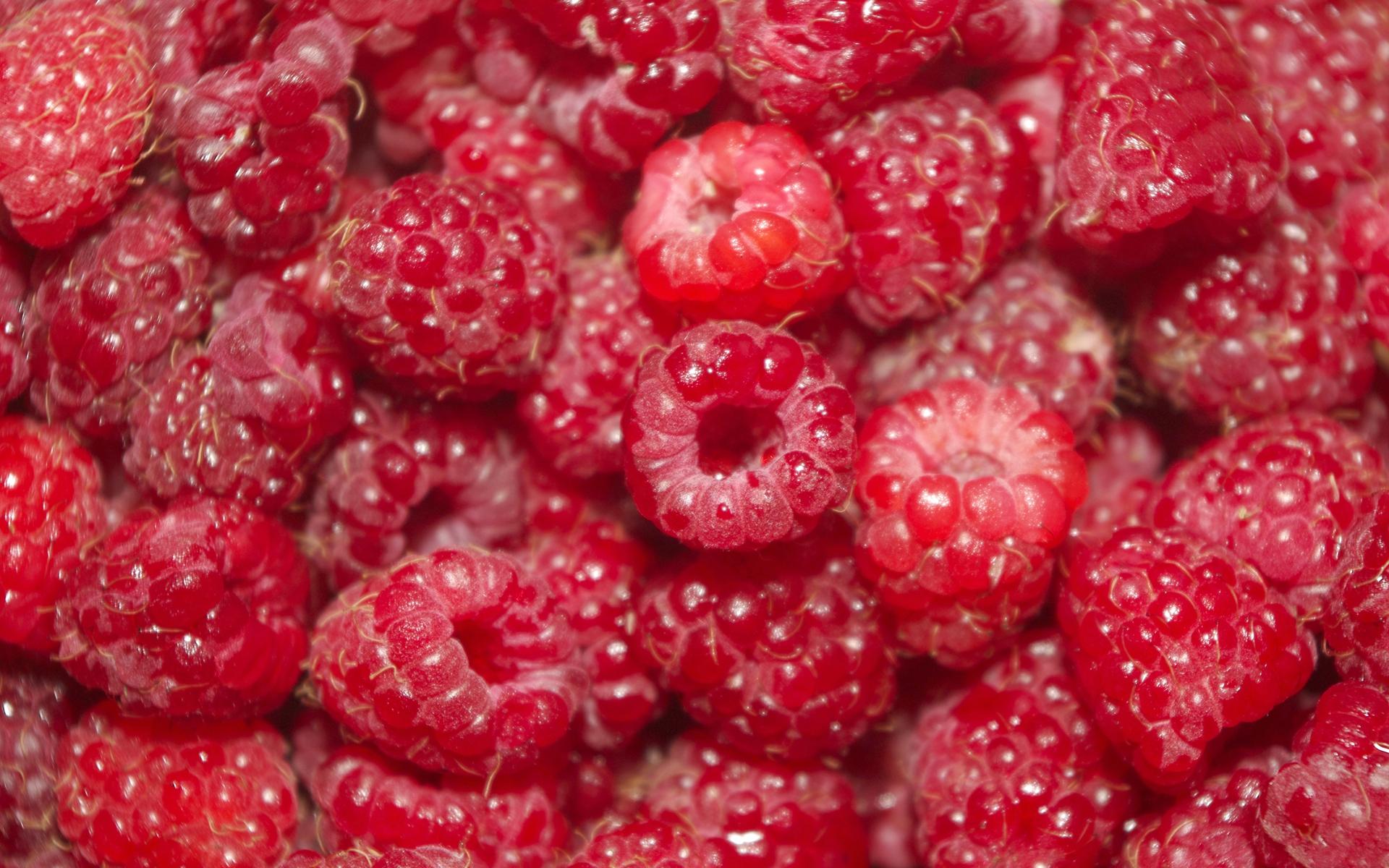 природа еда малина ягоды nature food raspberry berries без смс