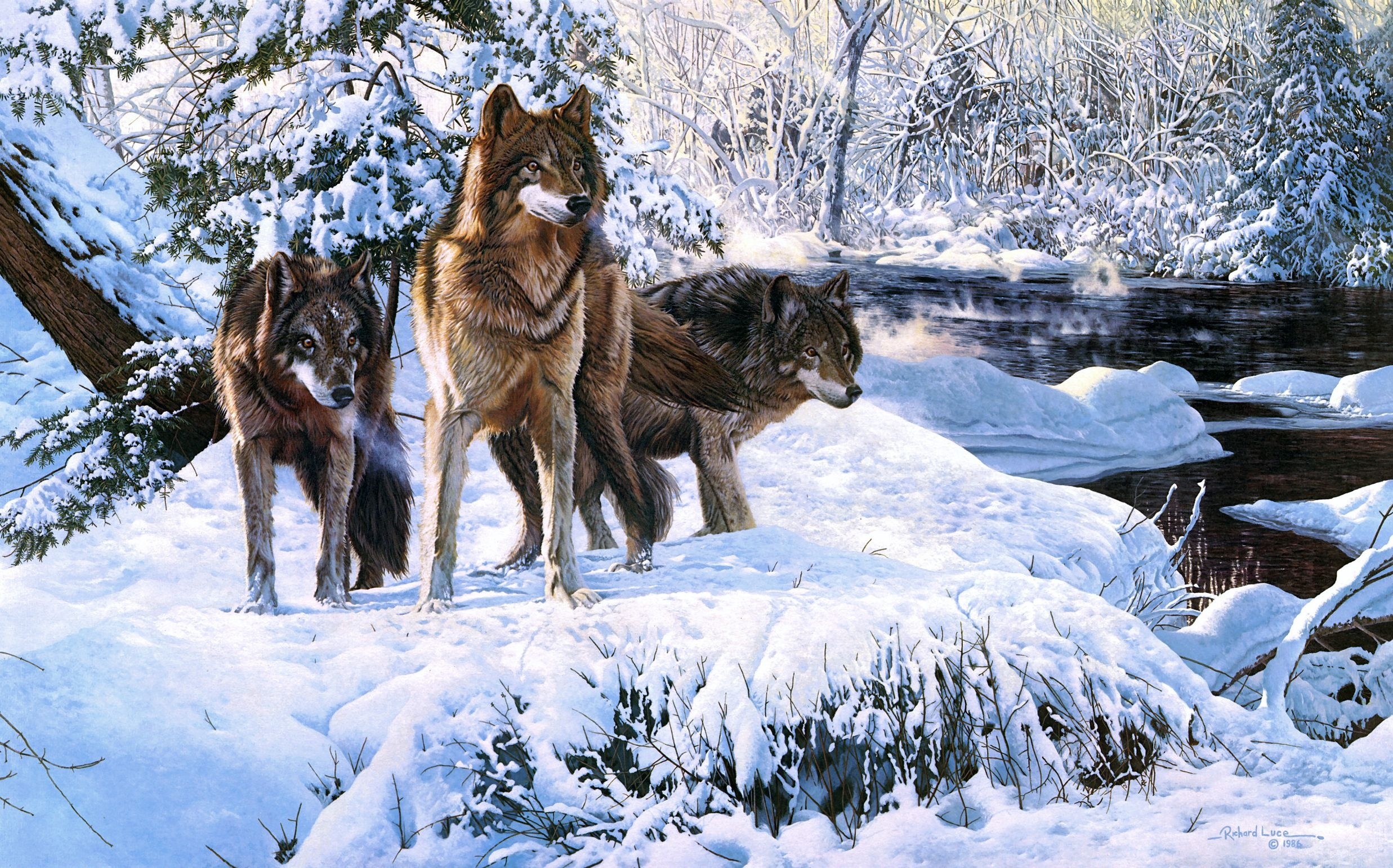 волки в зимнем лесу загрузить