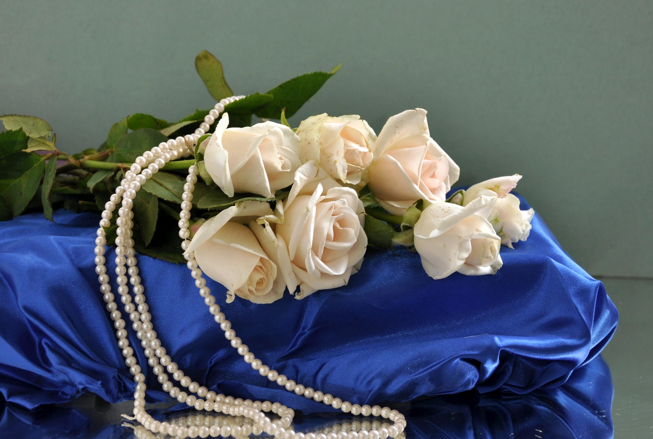 Белый розы на столе без смс