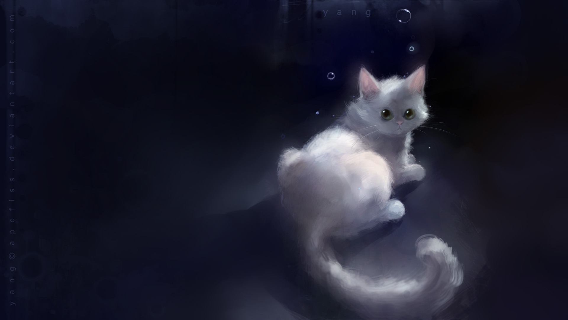 белый кот фон без смс