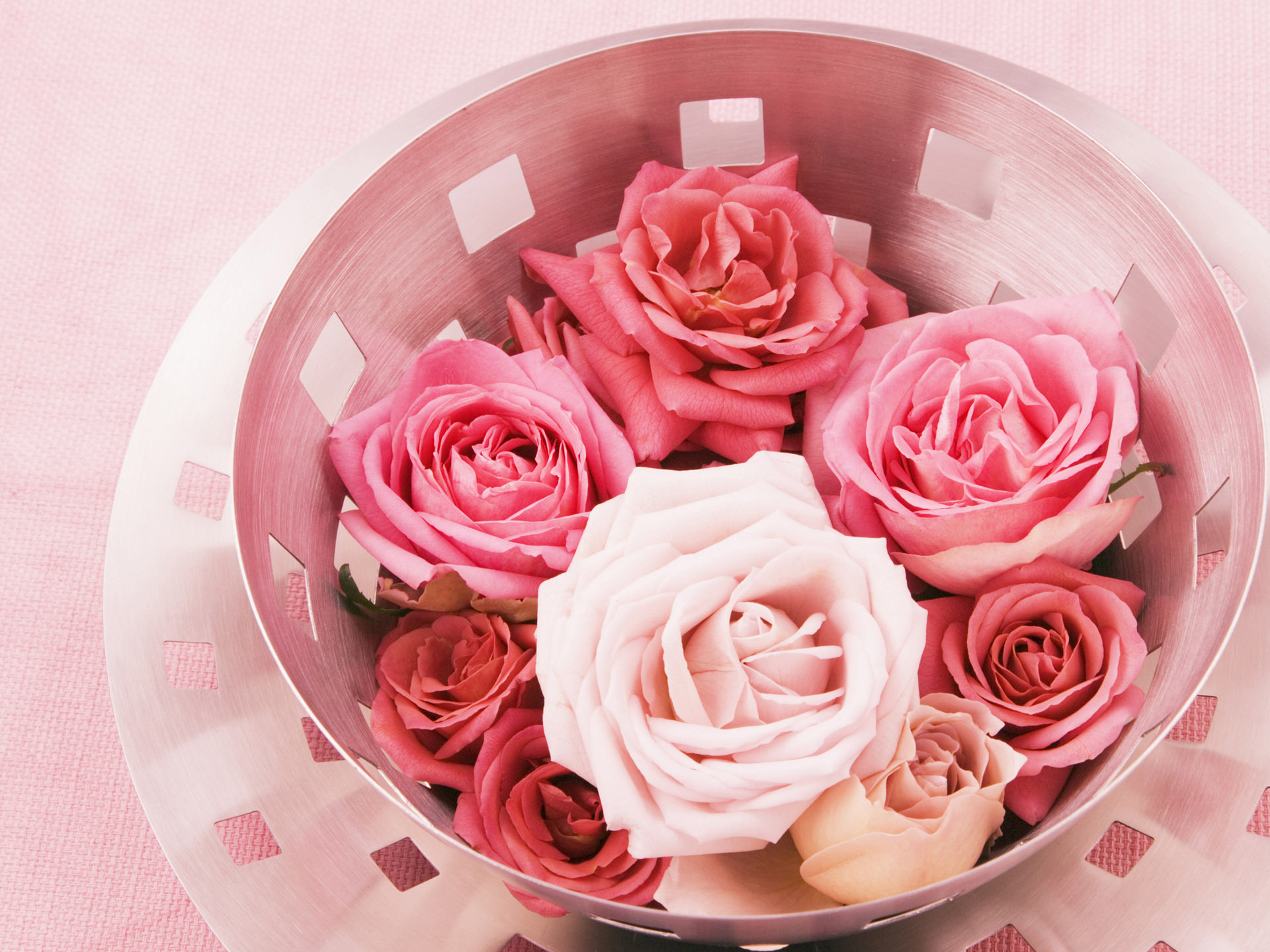 Аватарки цветочки. Розовые цветы. Розовые розы. Розы розового цвета.
