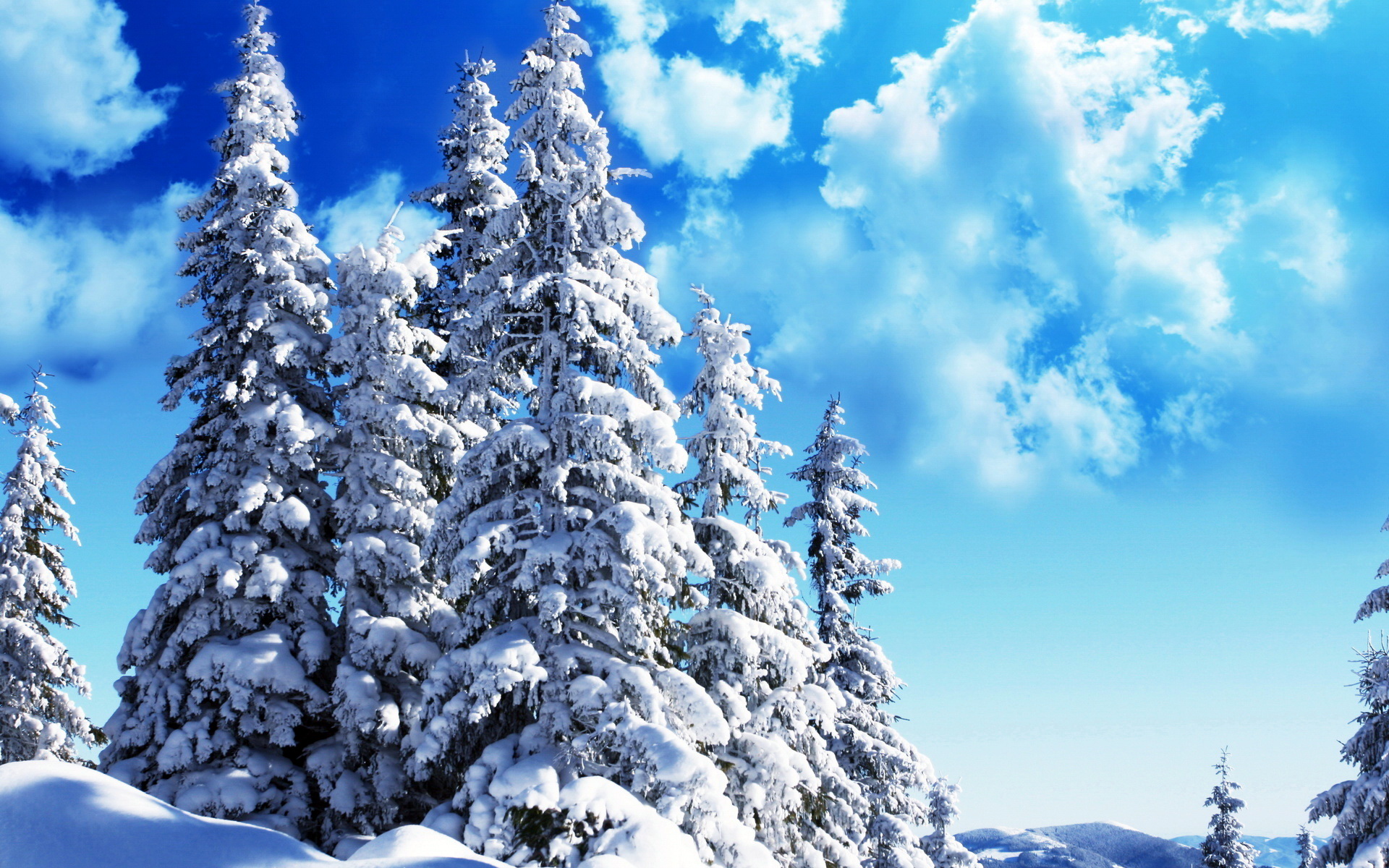 Зима снег деревья ели природа загрузить