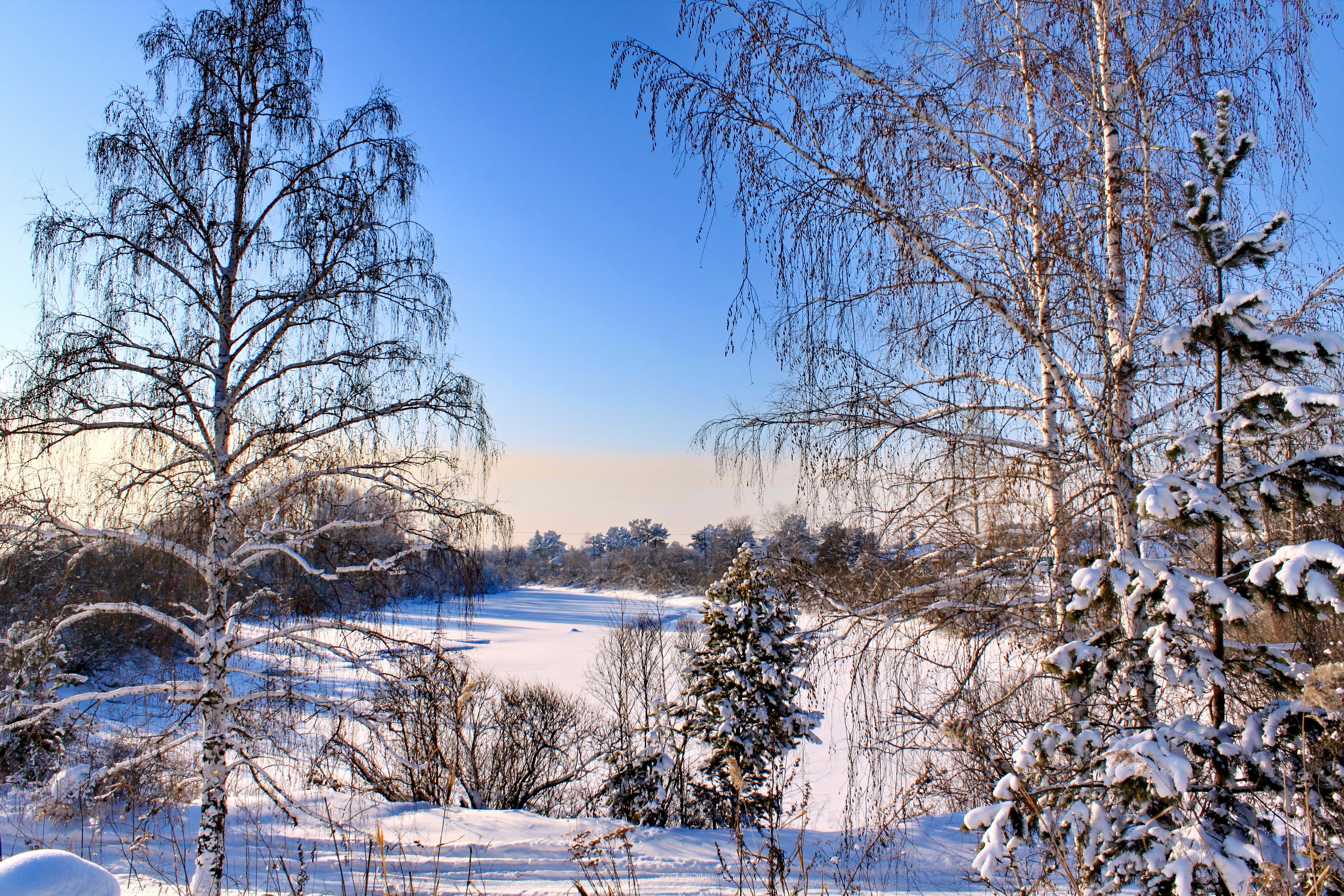 Красивая природа февраль. Зима в средней полосе России. Февраль природа. Зимний пейзаж. Природа средней полосы России зима.