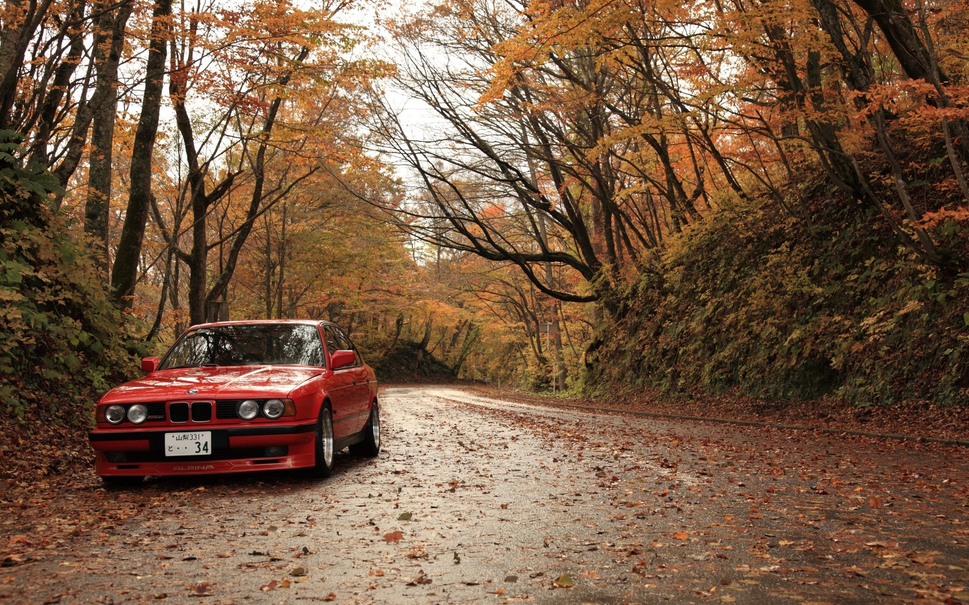 Осень Красный Дороги авто сезон года 1920x1200 BMW лист Листва осенние крас...