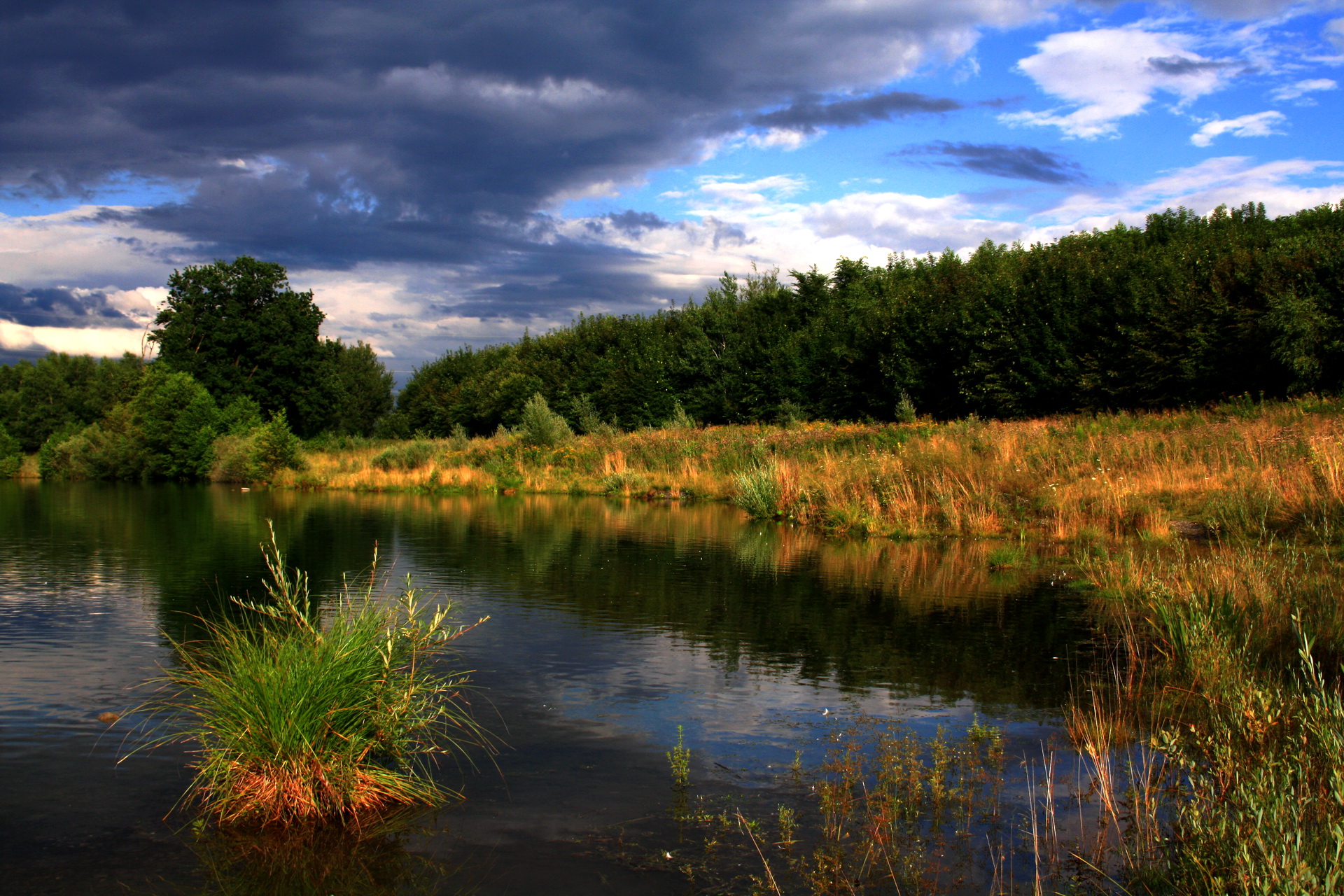 Речка синоним. Река Судость. Река кривля. Беларусь пейзажи природа. Пейзаж с рекой.