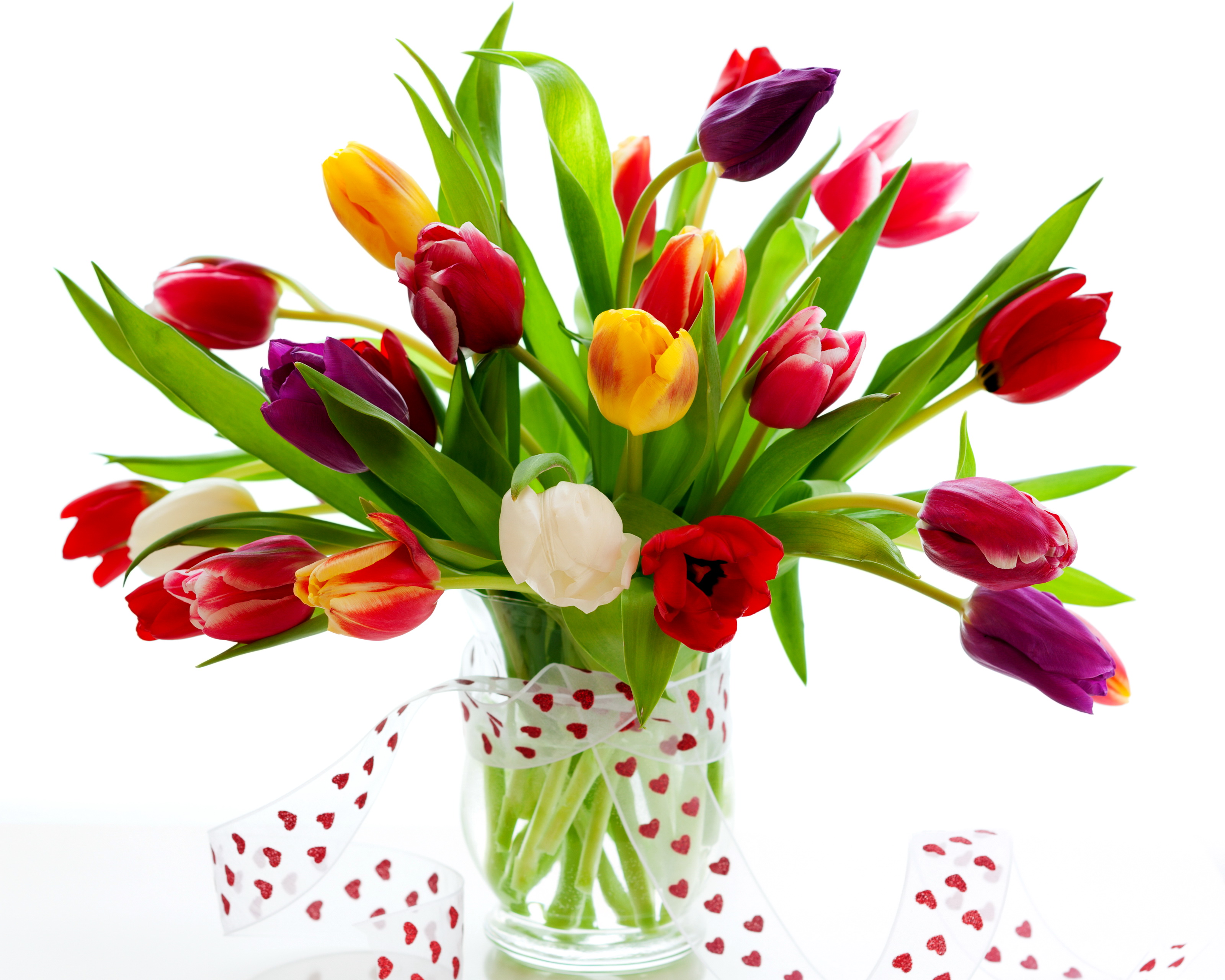 тюльпаны букет цветы бесплатно