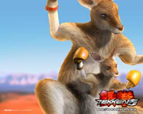 Картинки Tekken Кенгуру компьютерная игра